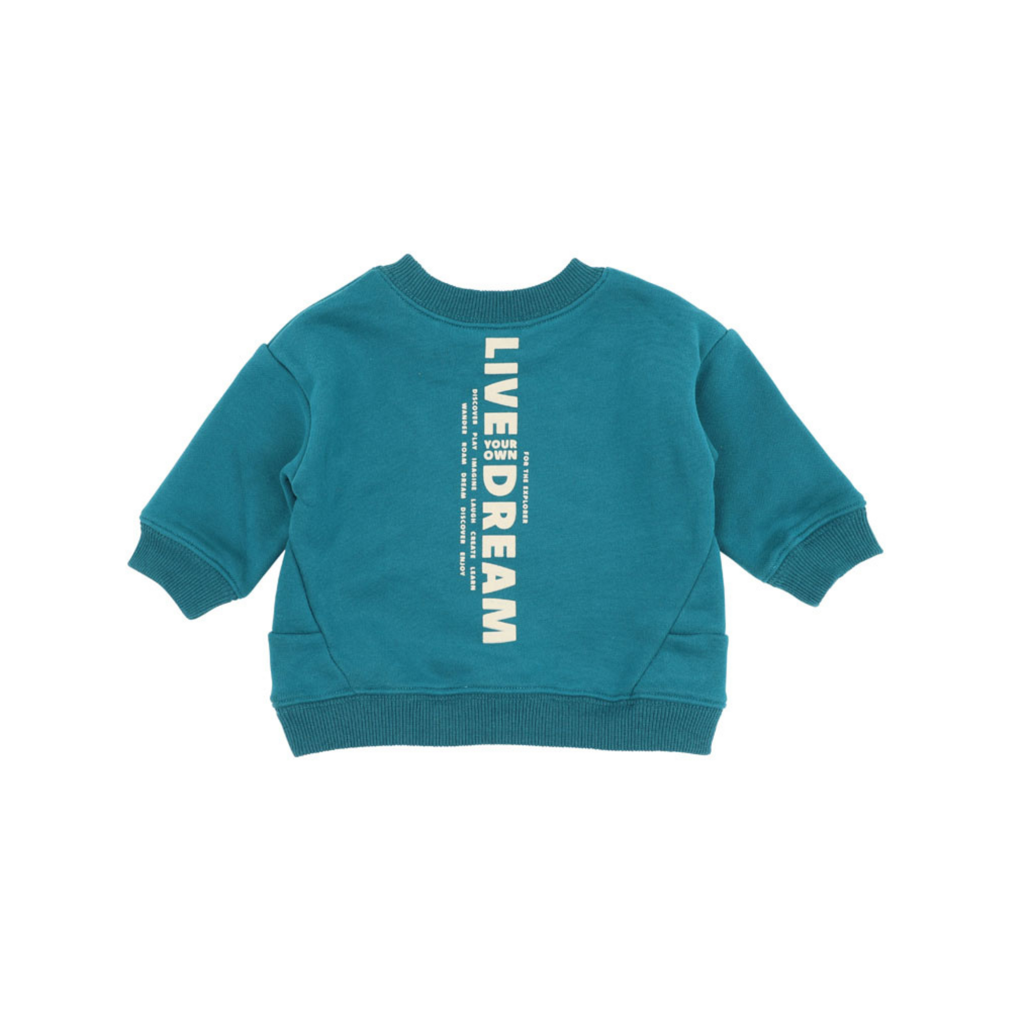 Fox & Finch Cool Dogs Adventure Sweatshirt - Teal Green
