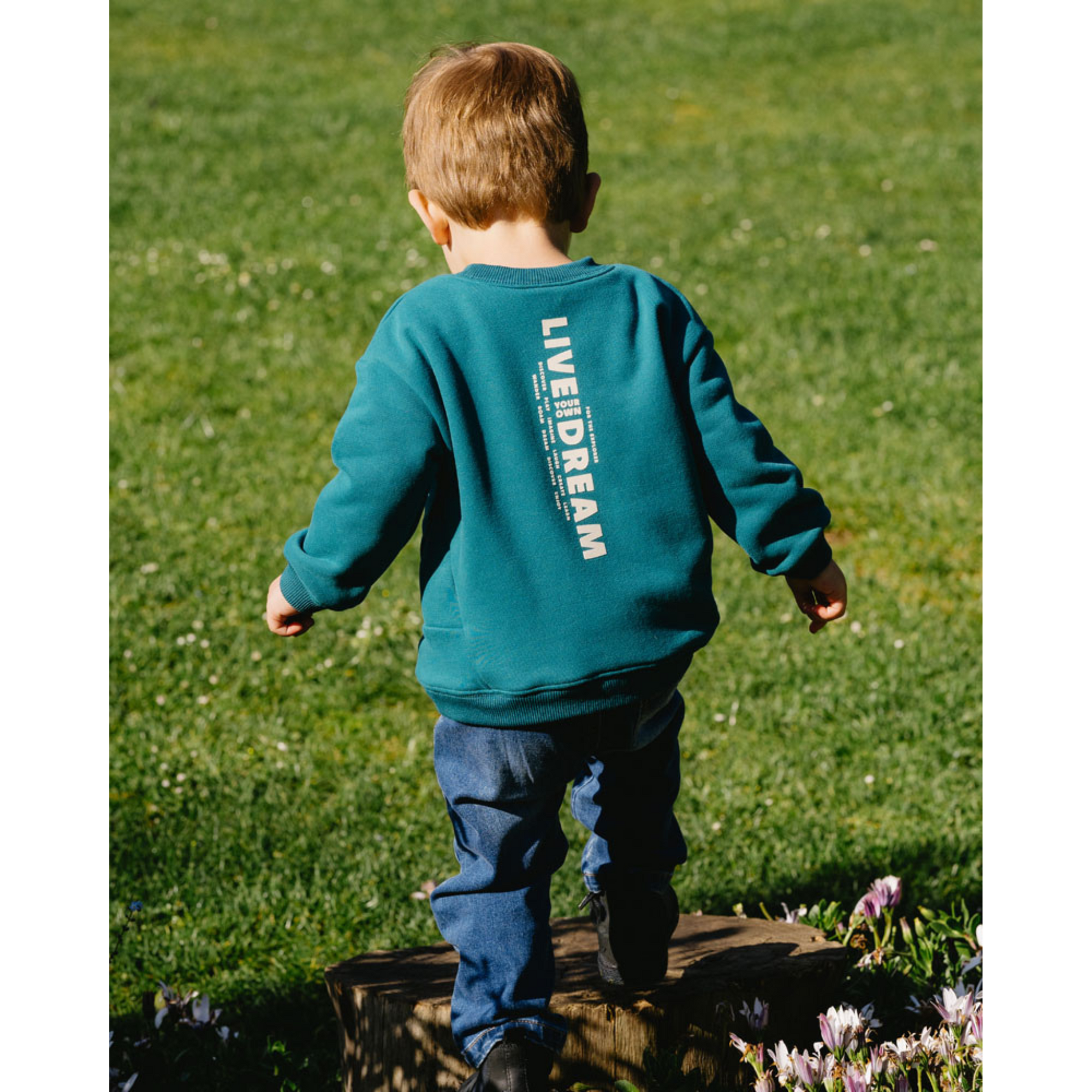 Fox & Finch Cool Dogs Adventure Sweatshirt - Teal Green