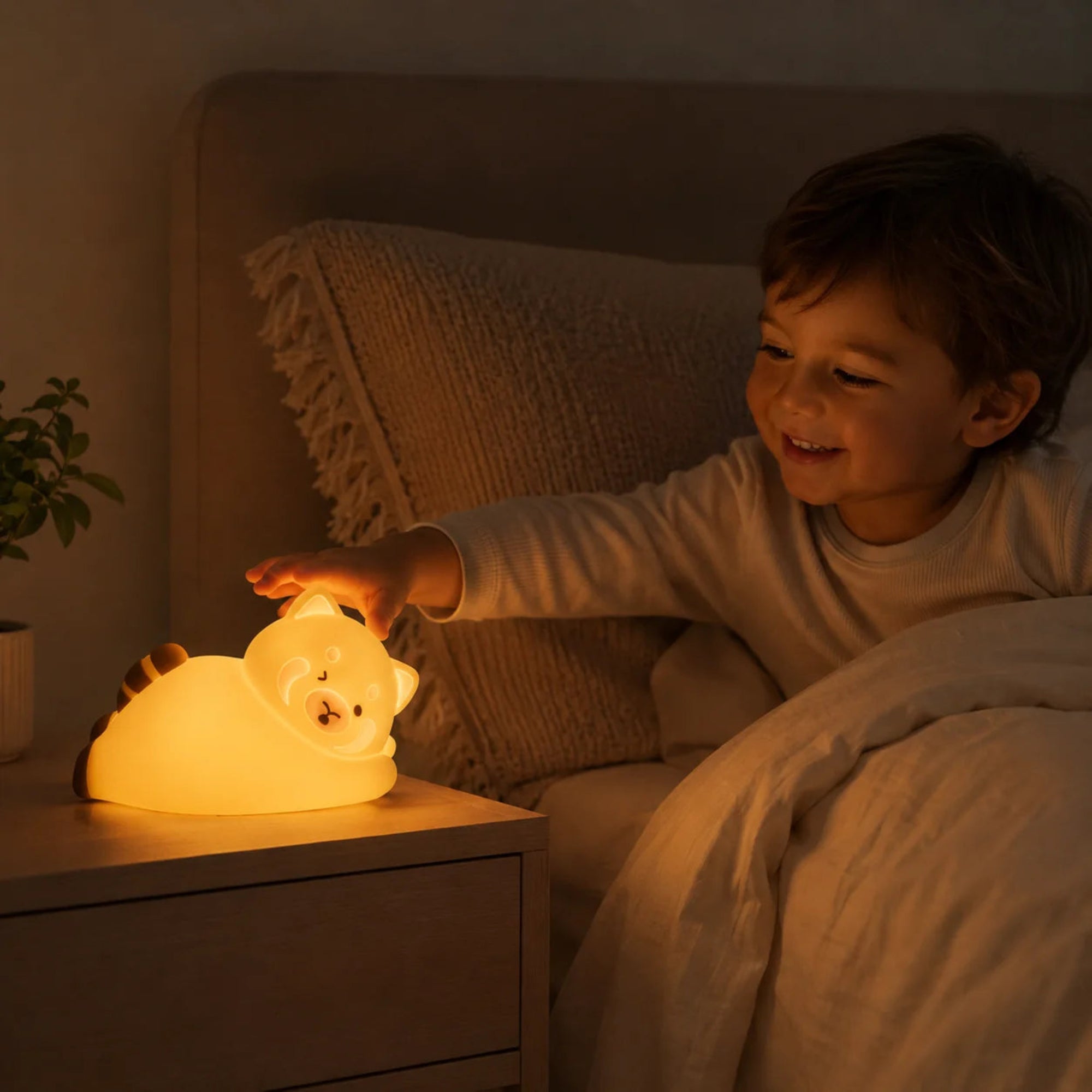 Raphi The Fox Block Blue Light