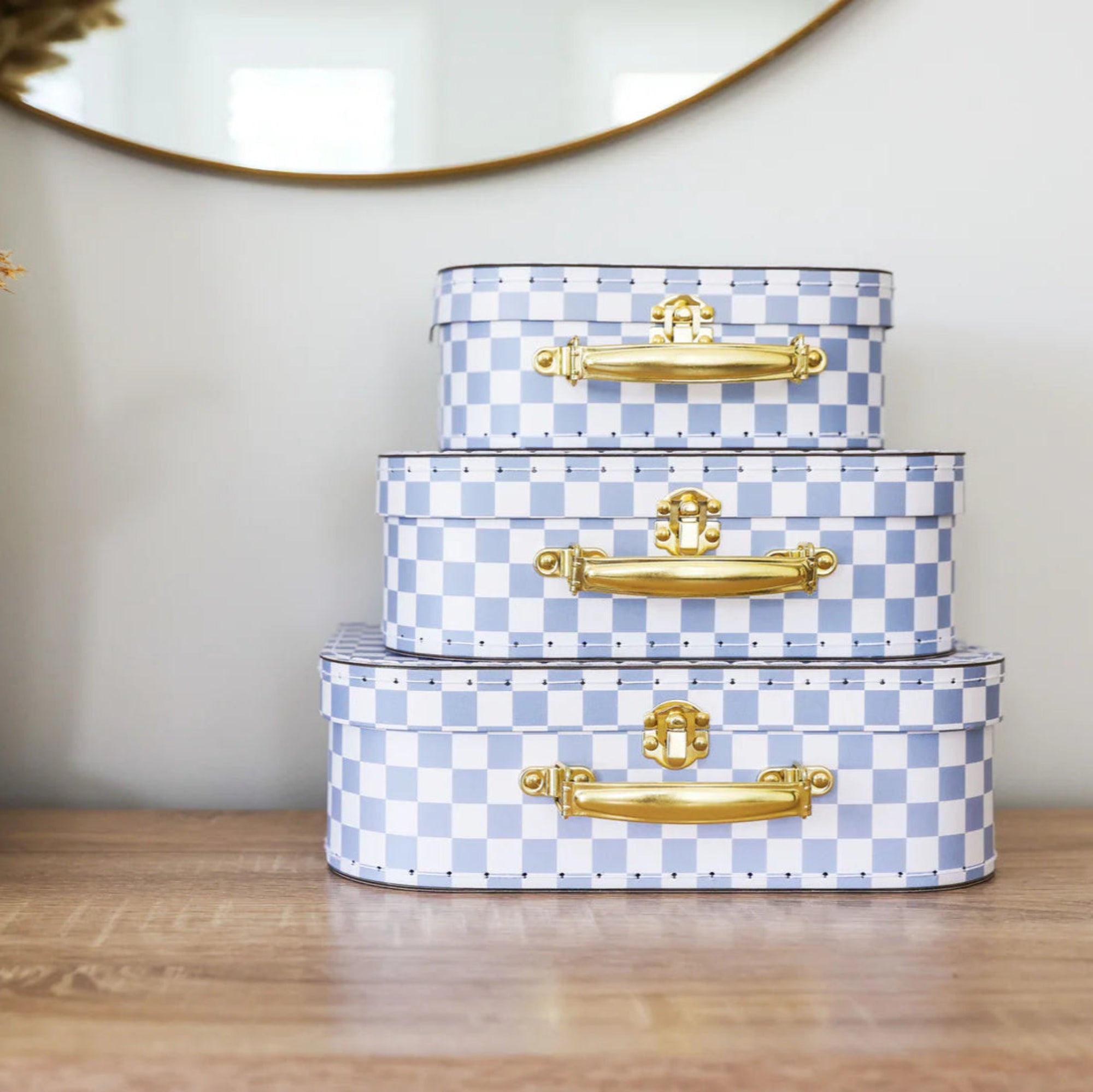 Alimrose Blue Check Carry Cases - sold separately