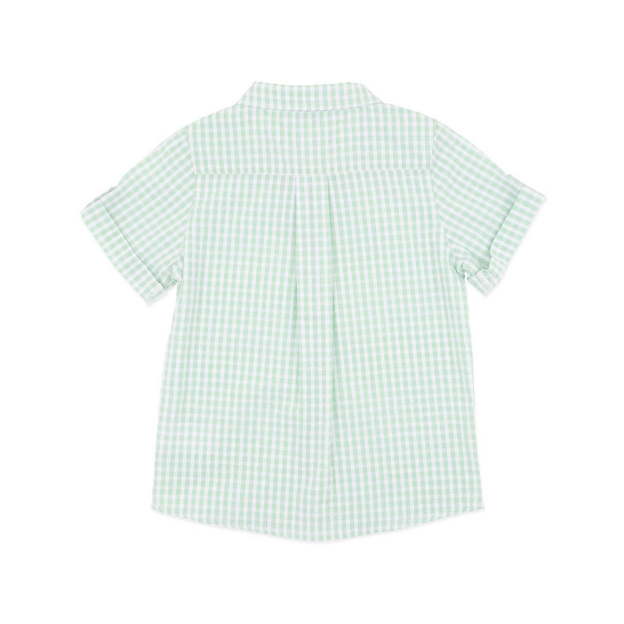 Bebe Roman Green Check Ss Shirt - Green Check