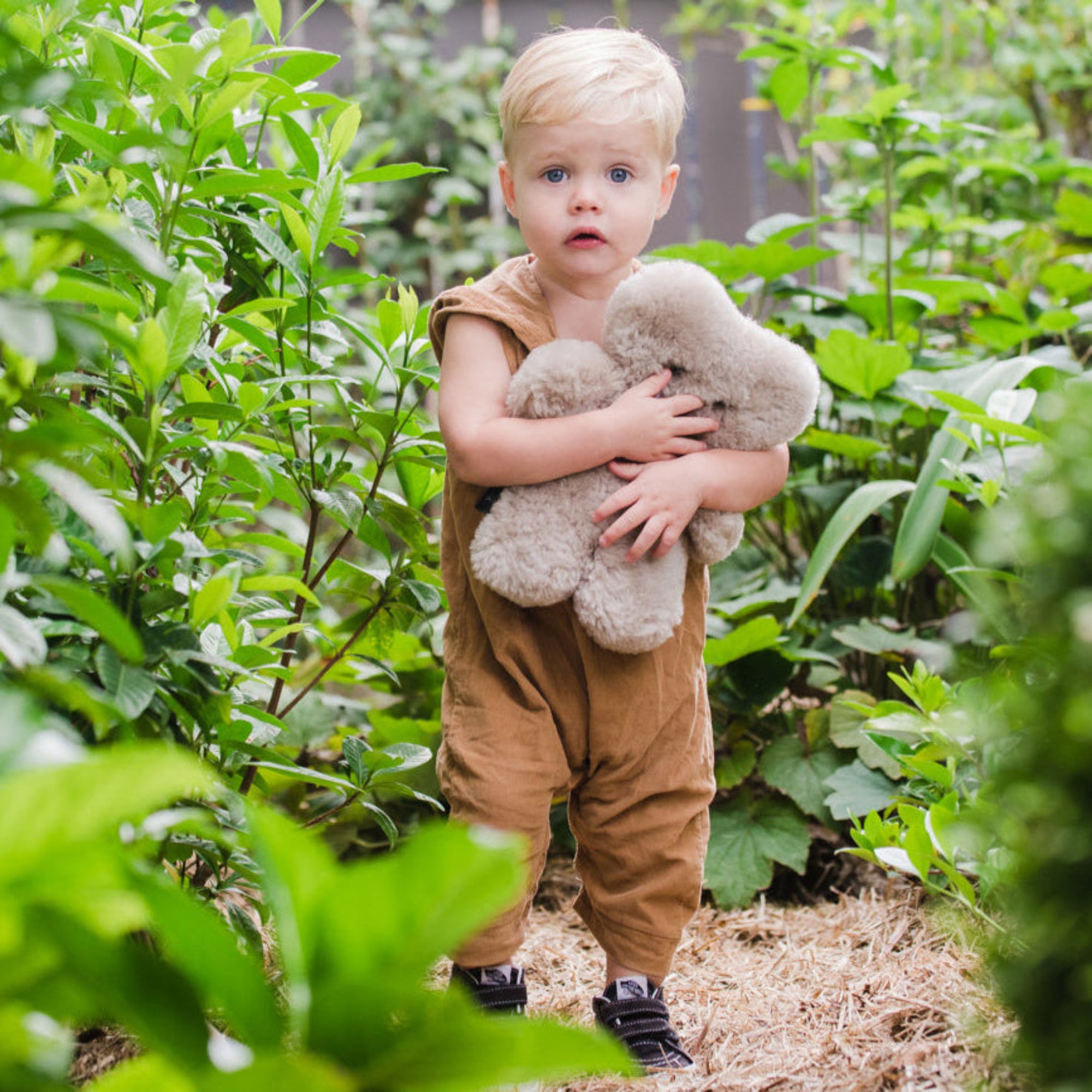 Flatout Bear - Latte
