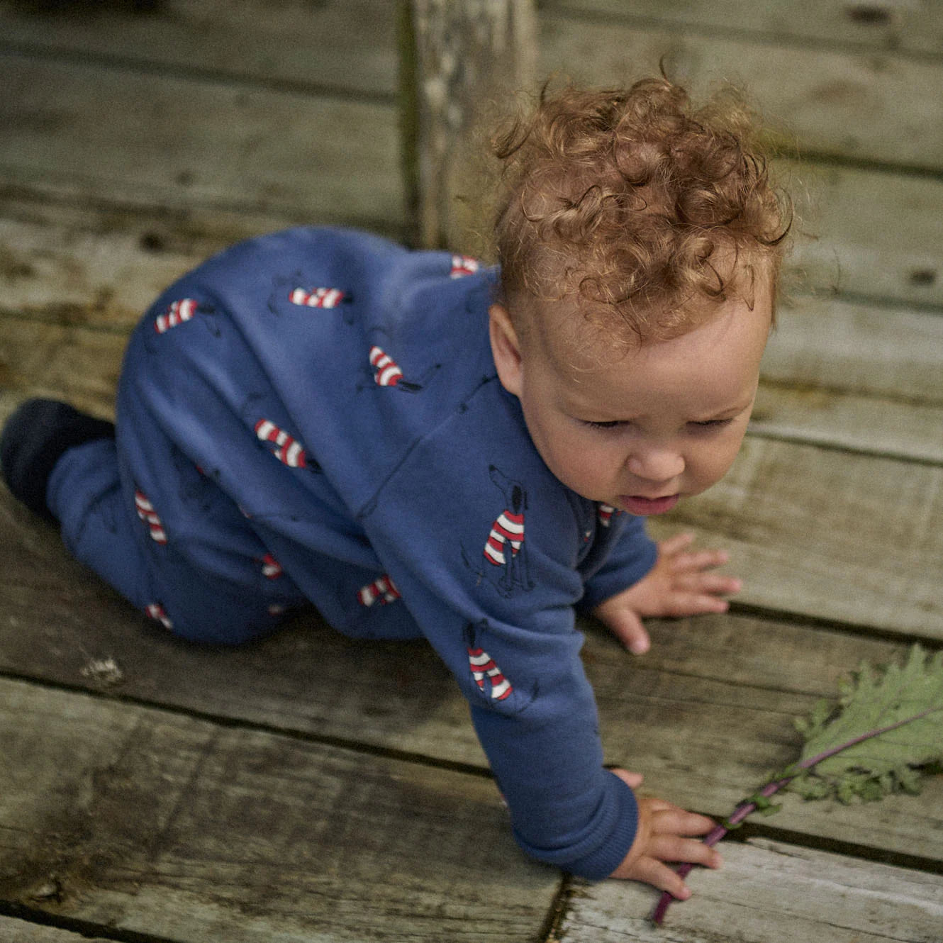 Nature Baby Long Sleeve Juno Romper