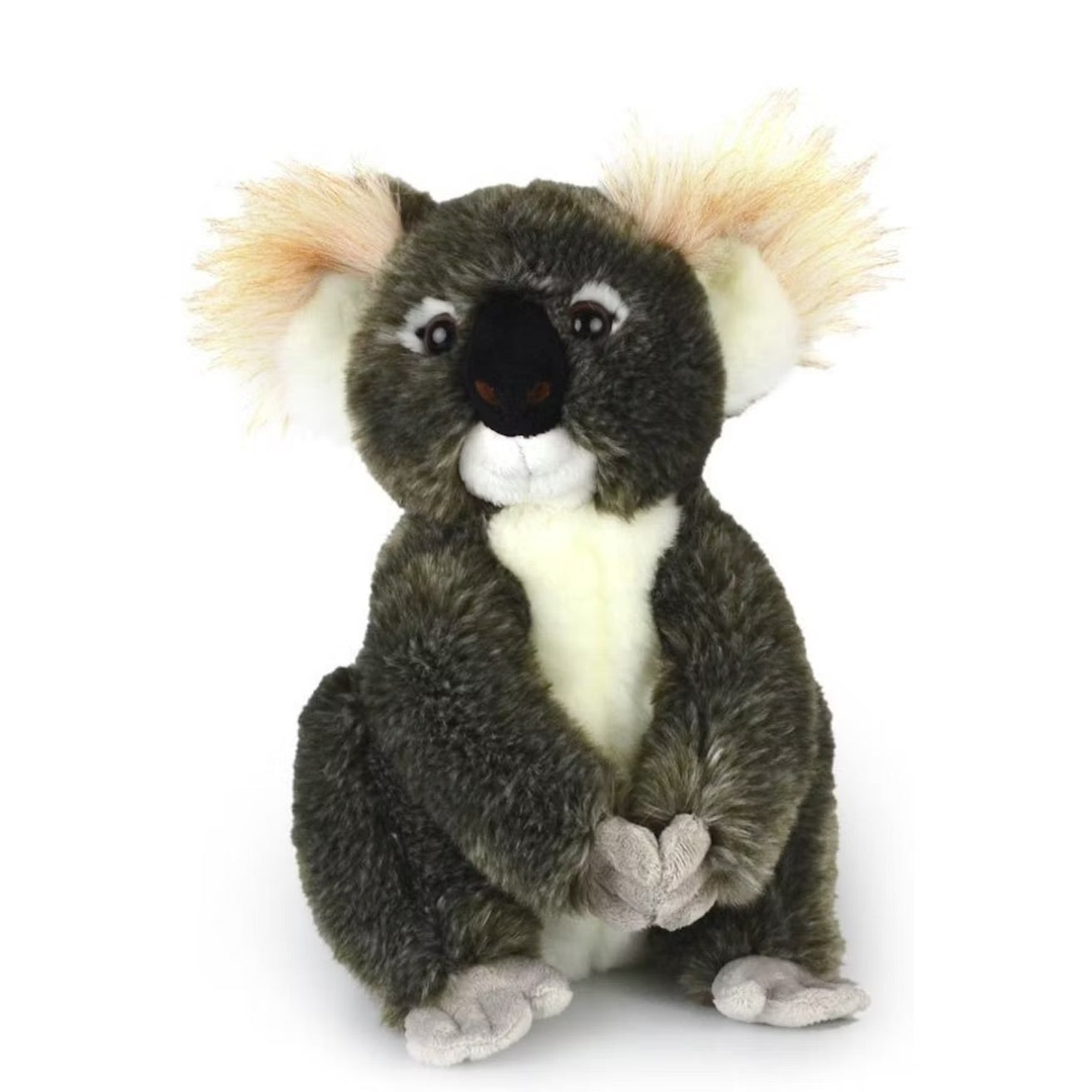 Korimco Koala Kimba 30cm