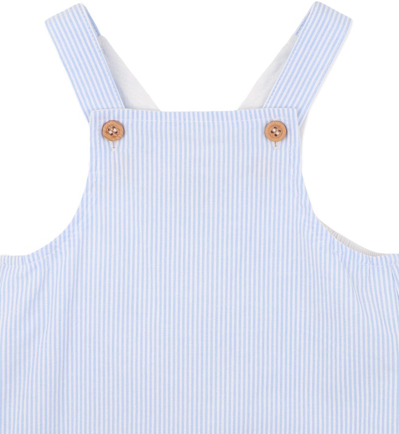 Blue Stripe Evan Overalls