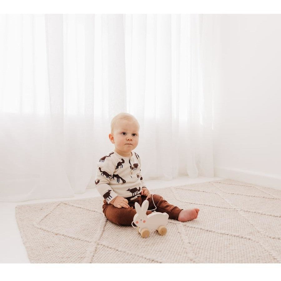 Skip Hop Bubble Wooden Rabbit Pull Along Toy