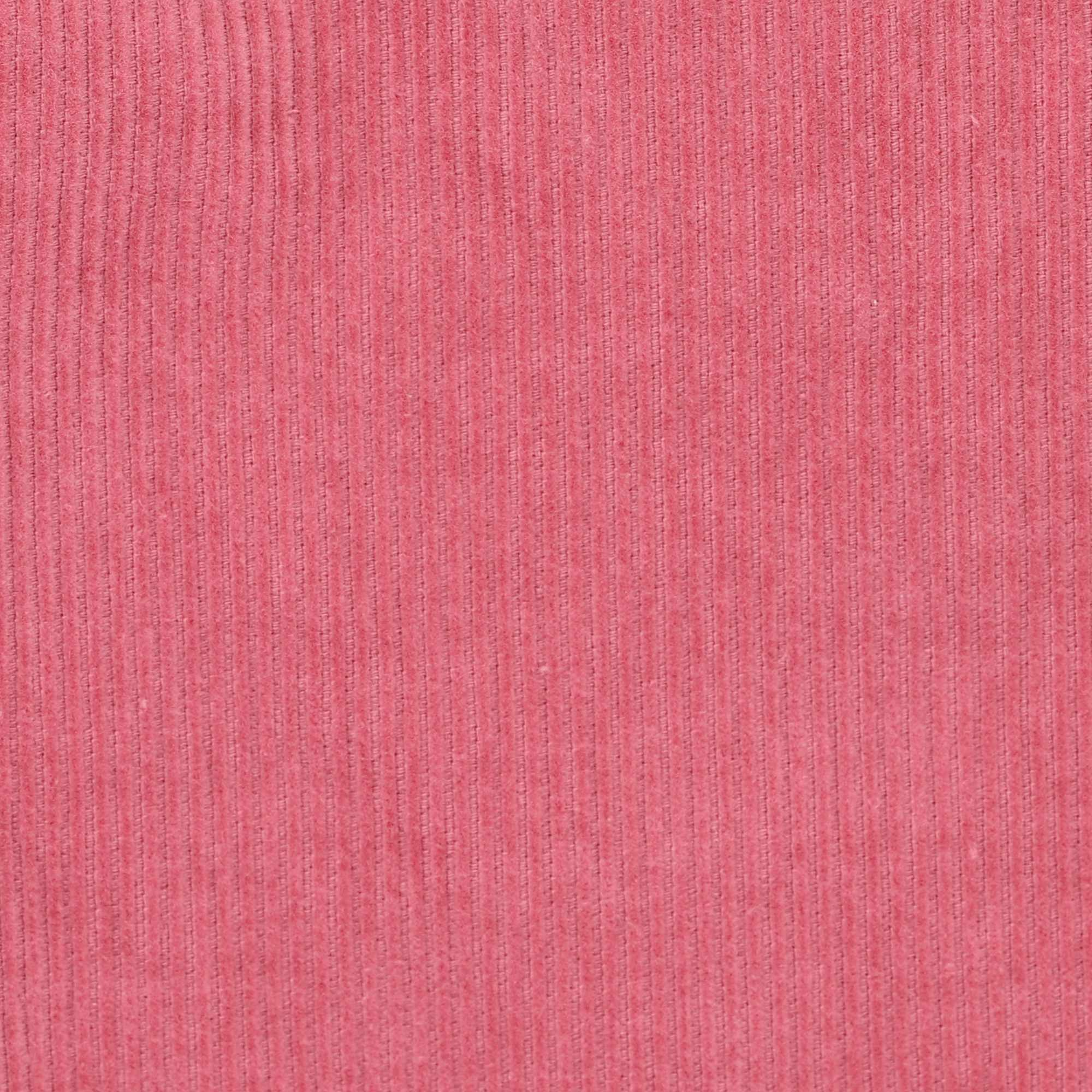 Bebe Fern Pull On Cord Pants - Plum