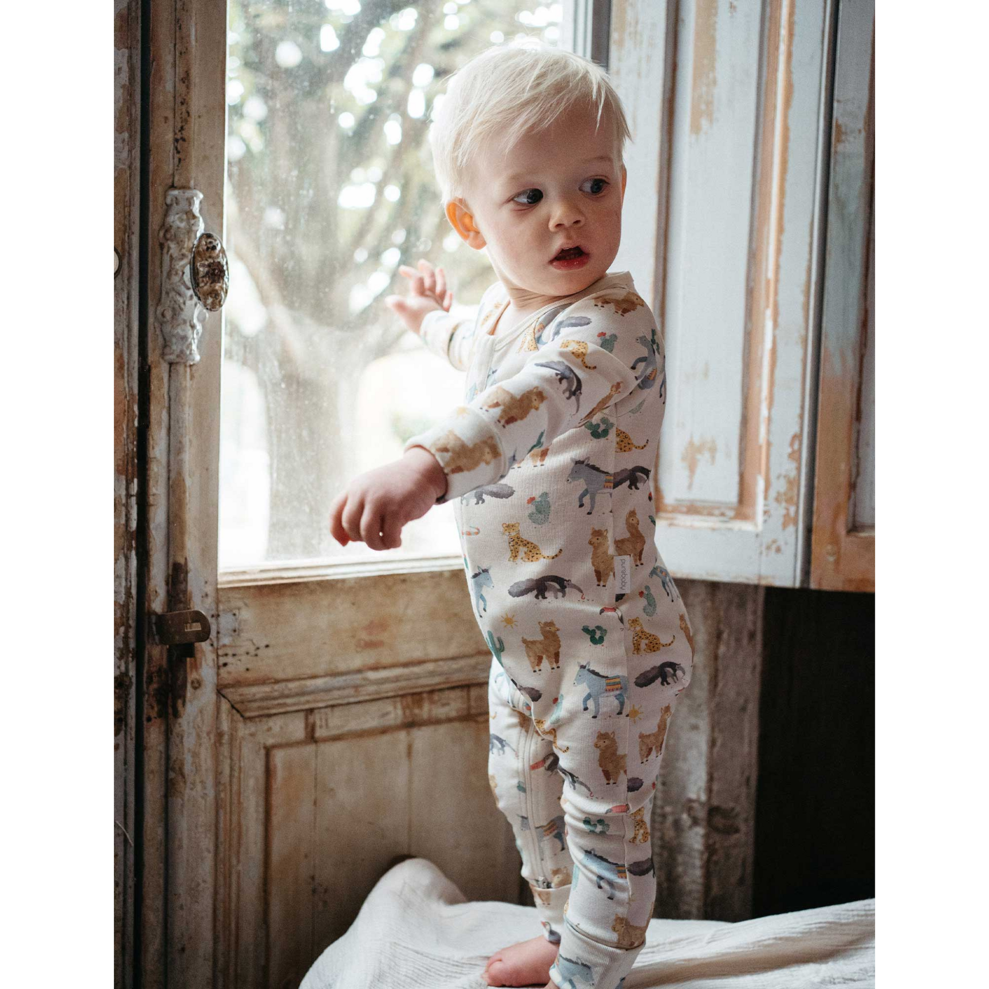 Purebaby Printed Zip Growsuit - Animal Fiesta Print