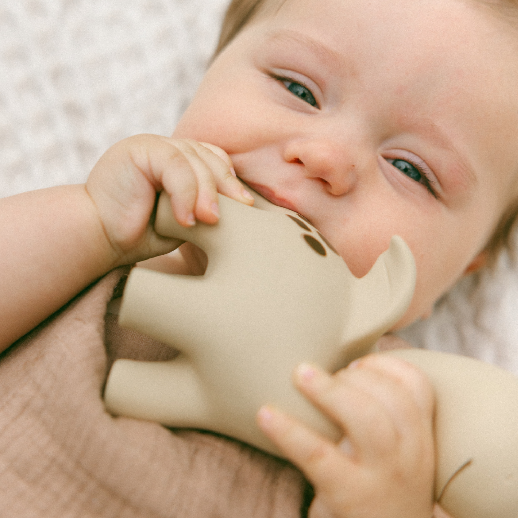 Diplo the Dino-Dragon Natural Rubber Teether: Brown