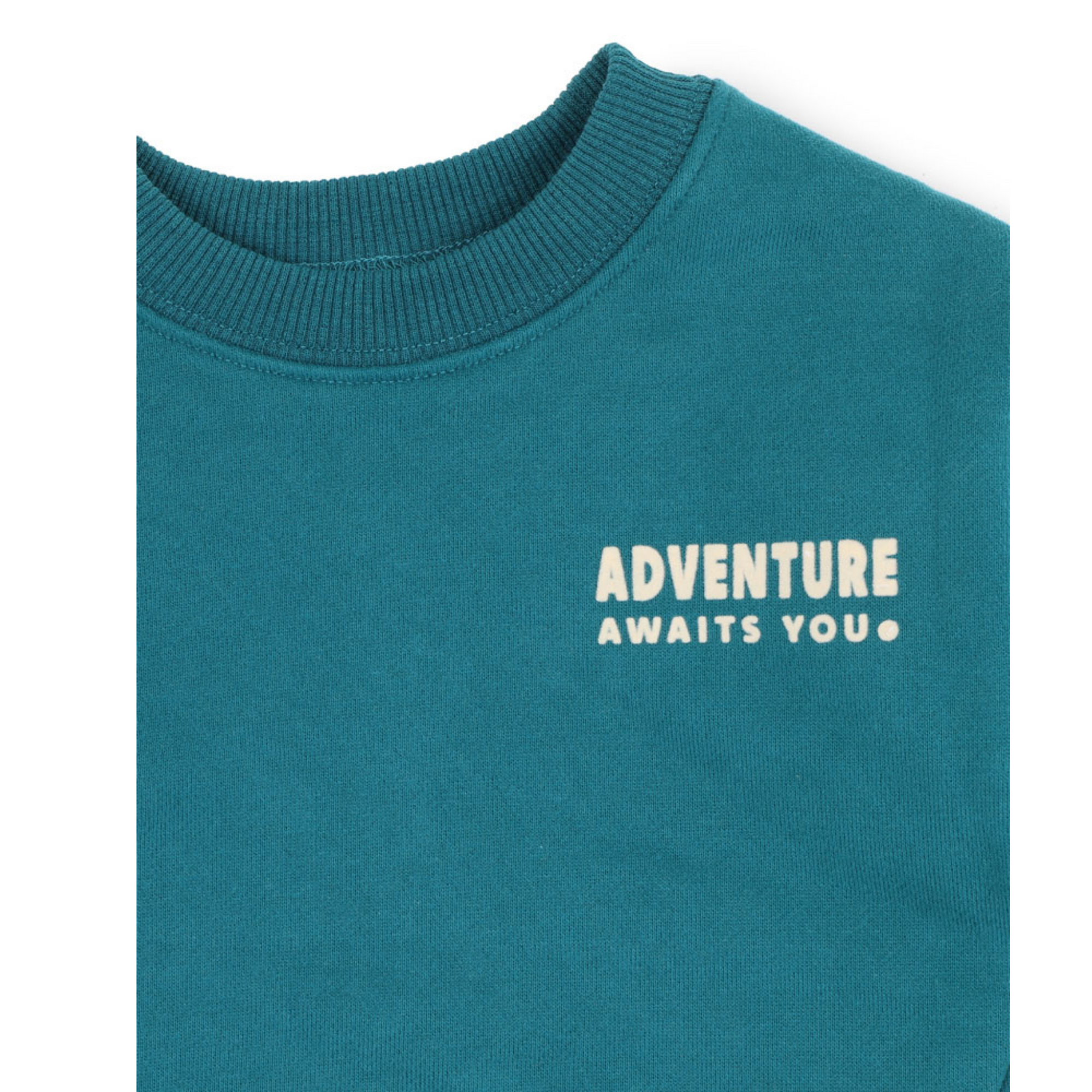 Fox & Finch Cool Dogs Adventure Sweatshirt - Teal Green