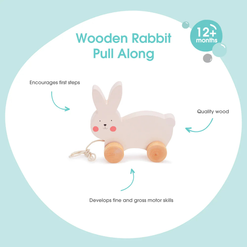 Skip Hop Bubble Wooden Rabbit Pull Along Toy