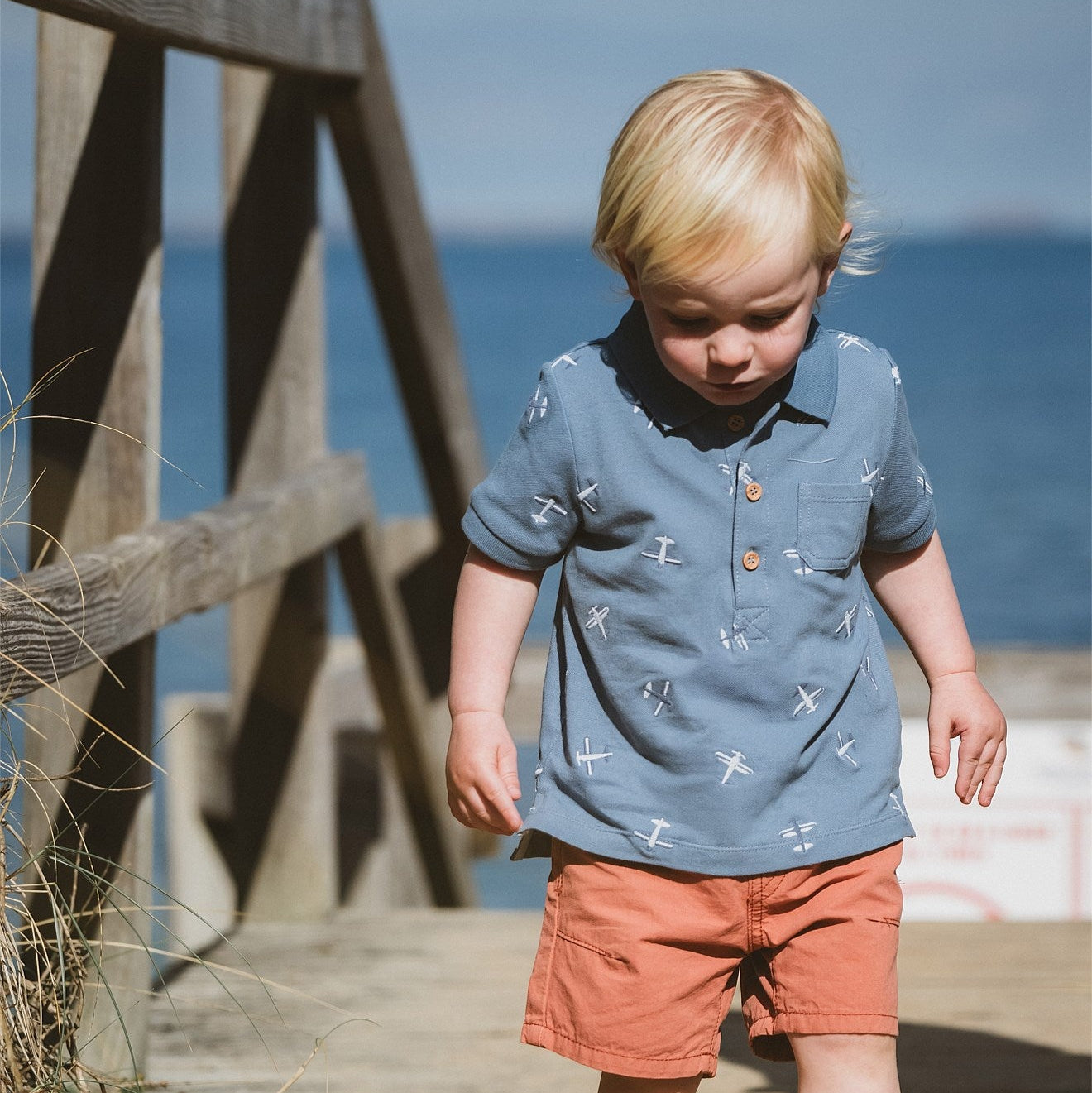 Bebe Harlan Airplane Embroidered Polo