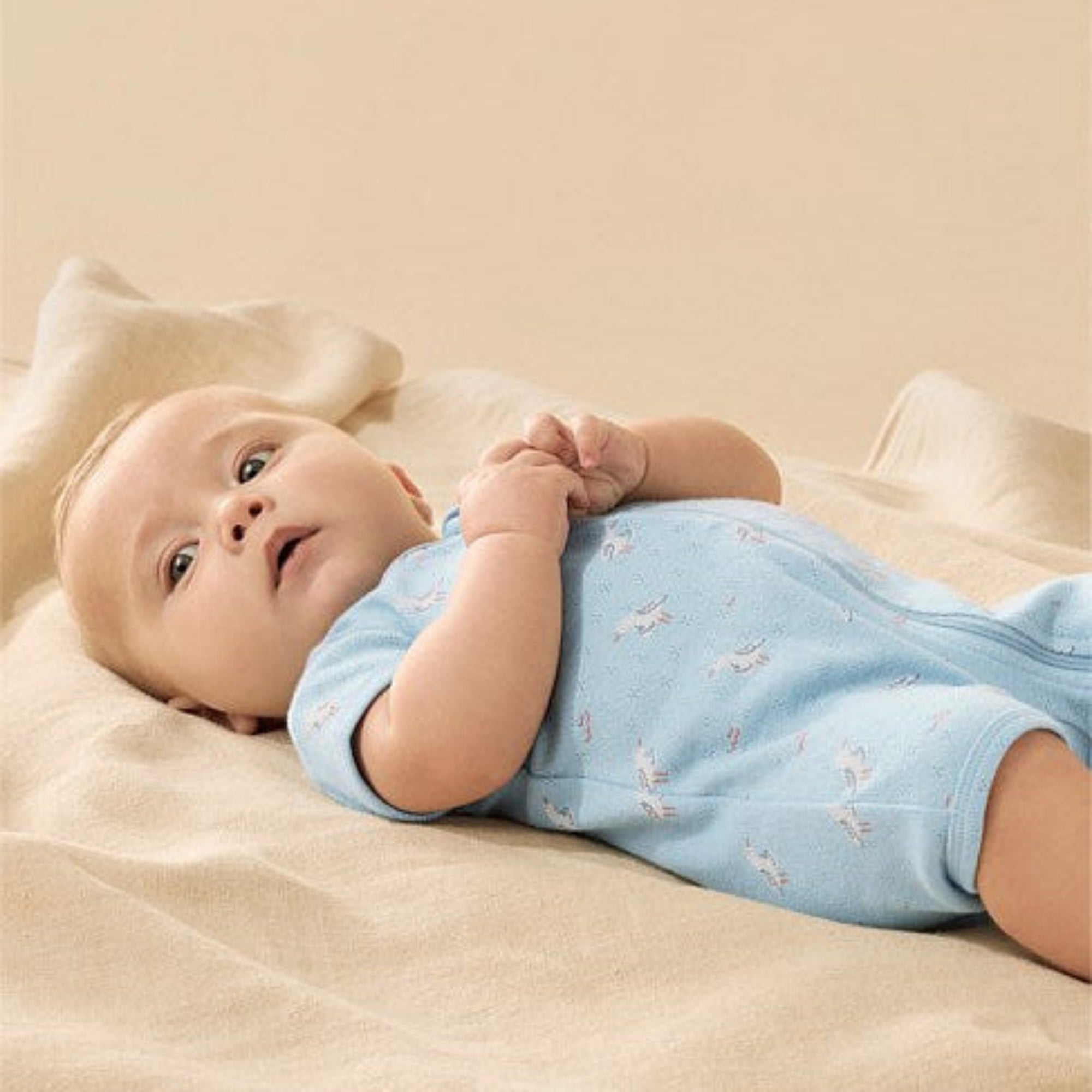 Wilson & Frenchy Sunny Seagulls Organic Pointelle Boyleg Zipsuit - Sunny Seagulls