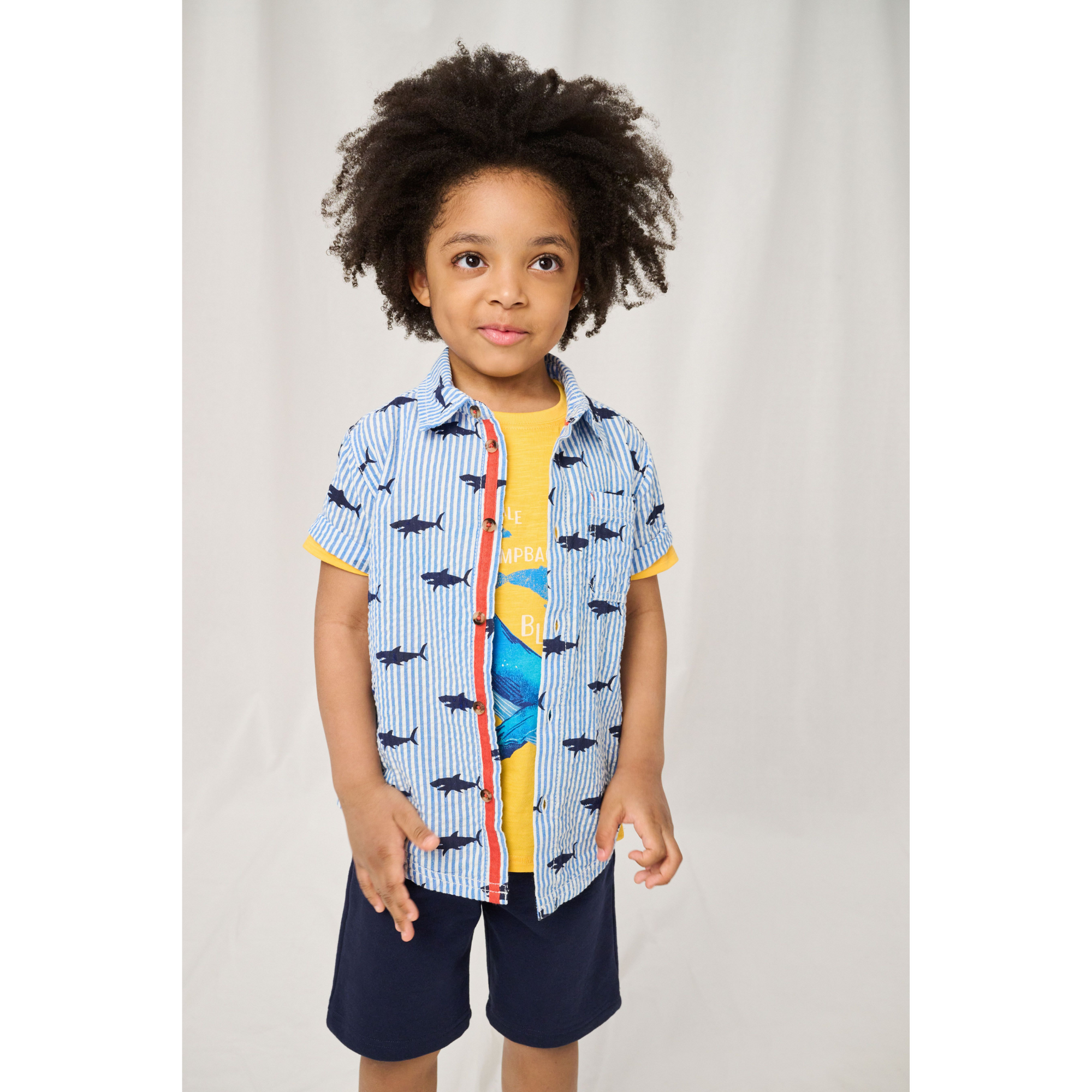 Hatley Navy Terry Shorts