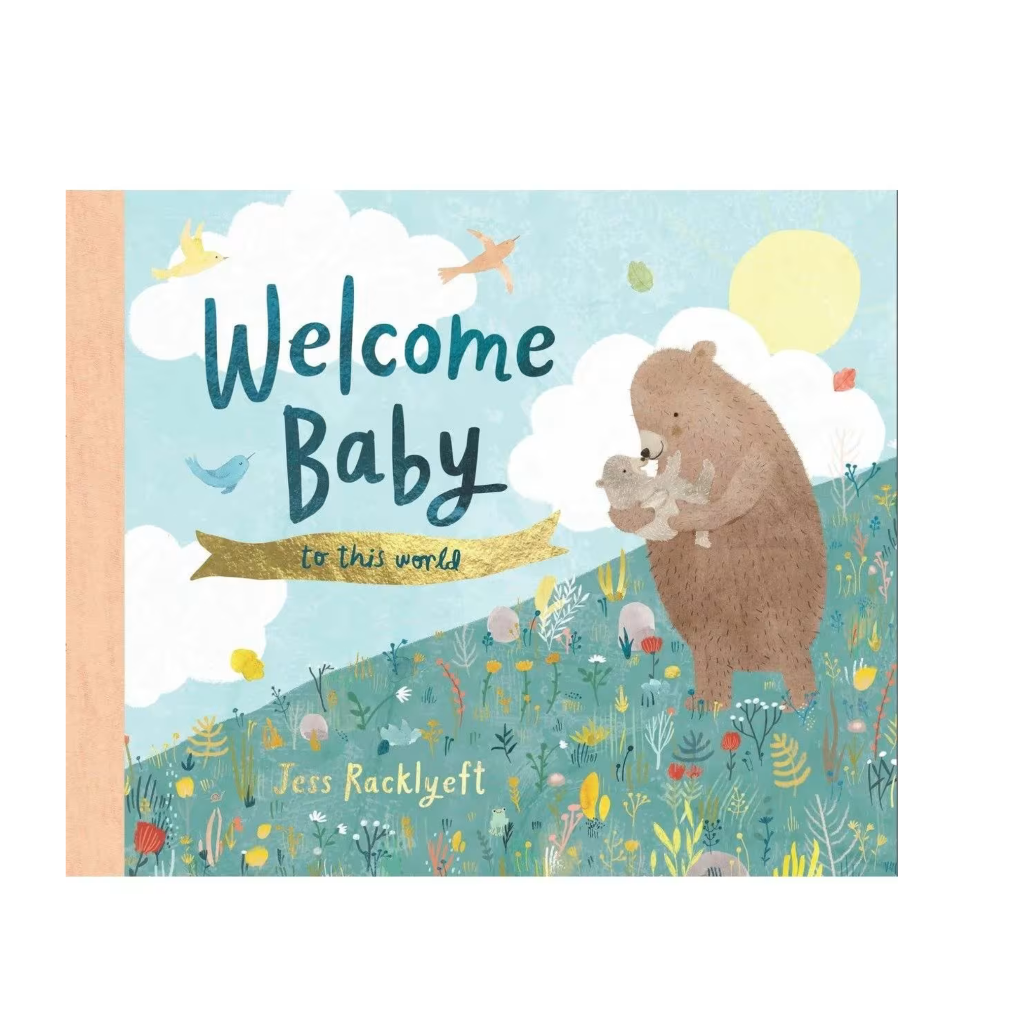 Welcome, Baby to This World by Jess Racklyeft - Book
