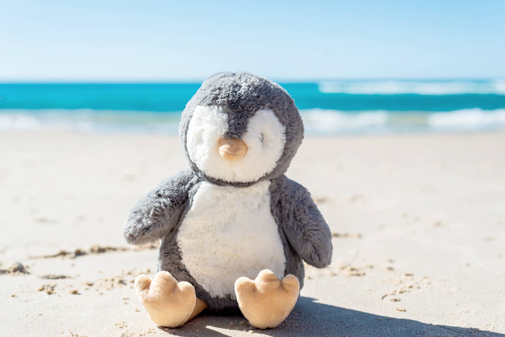 Iggy Penguin Soft Toy 13.5"/ 34cm