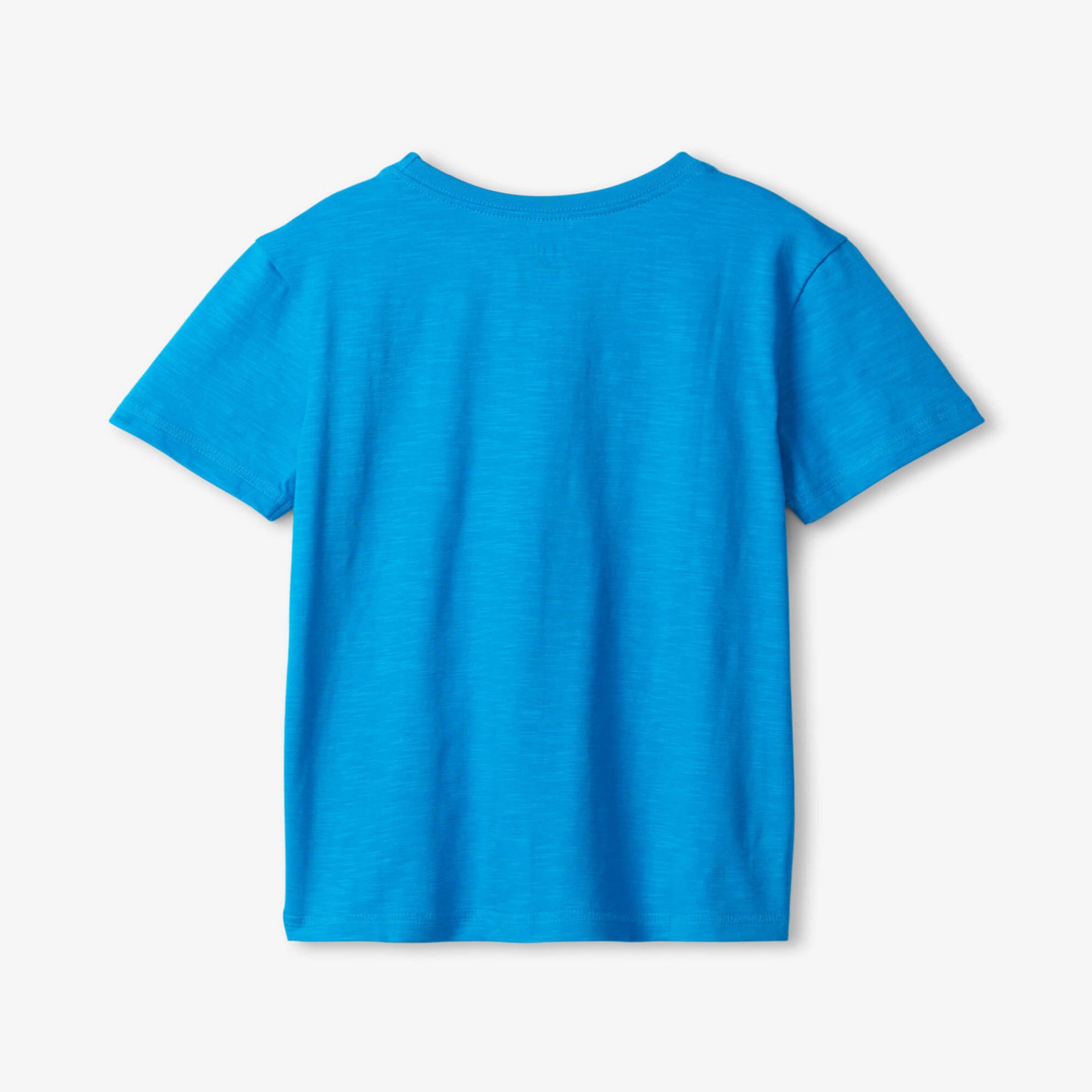 Hatley Boys Dragon Vs Dino Graphic T-Shirt