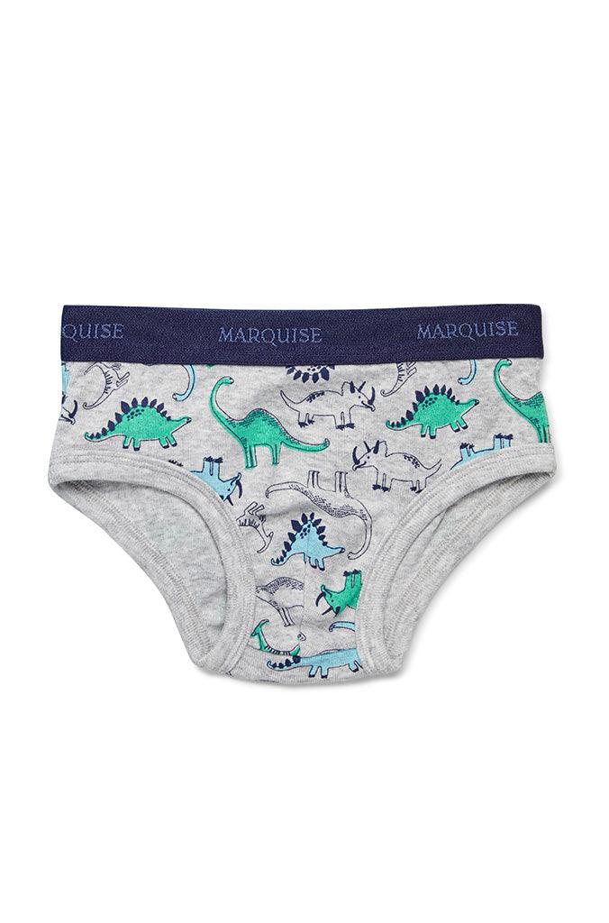 Marquise Boys Dinosaurs 2 Pack Underwear - Blue - Boys underwear - Marquise