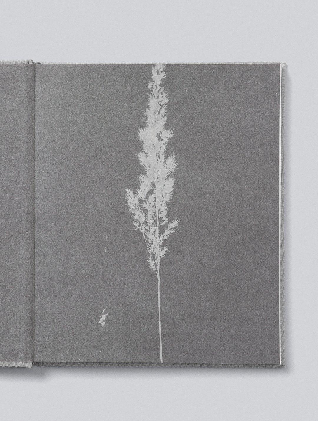 Write To Me Mama Tell Me About It - Pink - Book - Write To Me