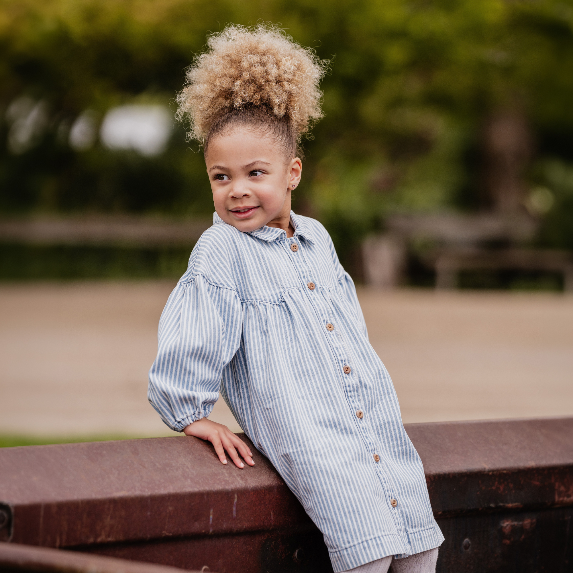 Fox &amp; Finch Winter Vacay Stripe Denim Dress - Blue Stripe