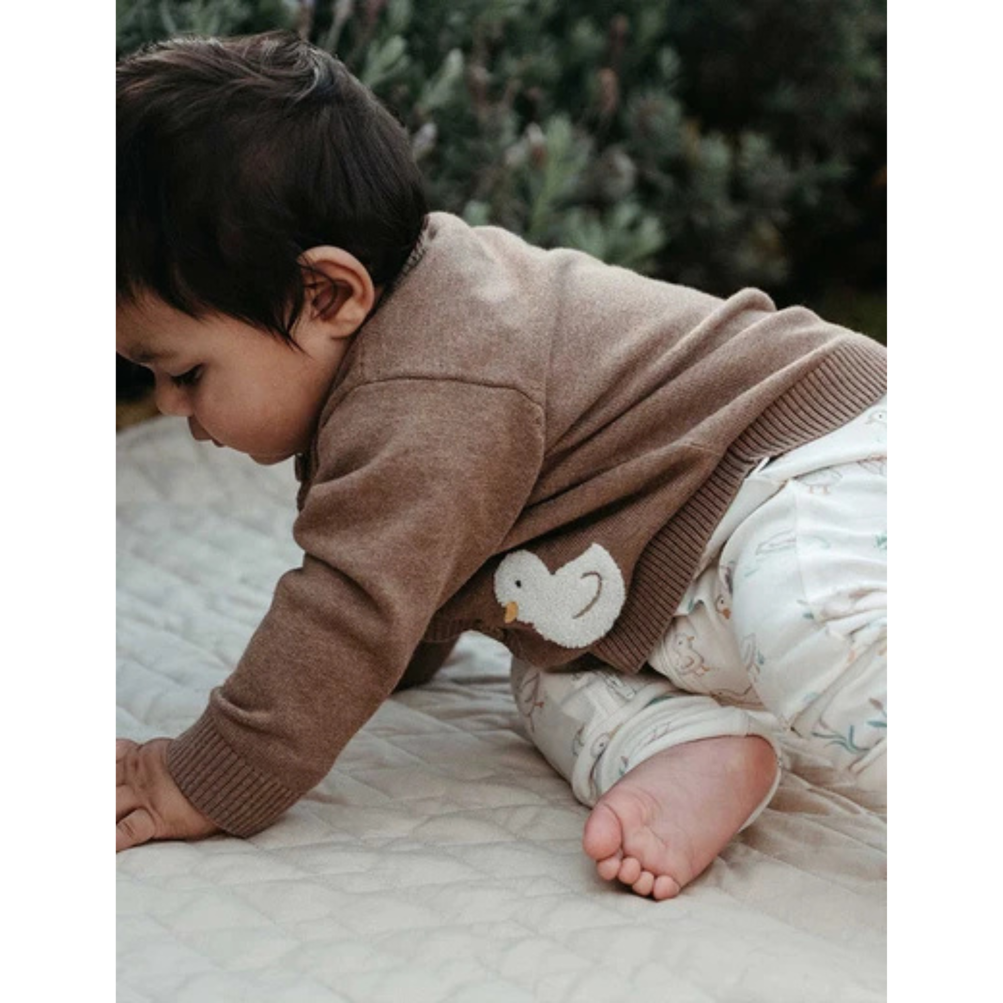 Purebaby Goose Chenille Cardigan - Milk Choc Melange