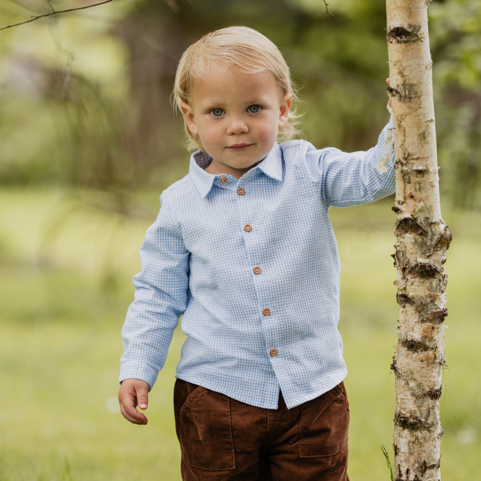 Bebe Jake blue check ls shirt - Sky blue