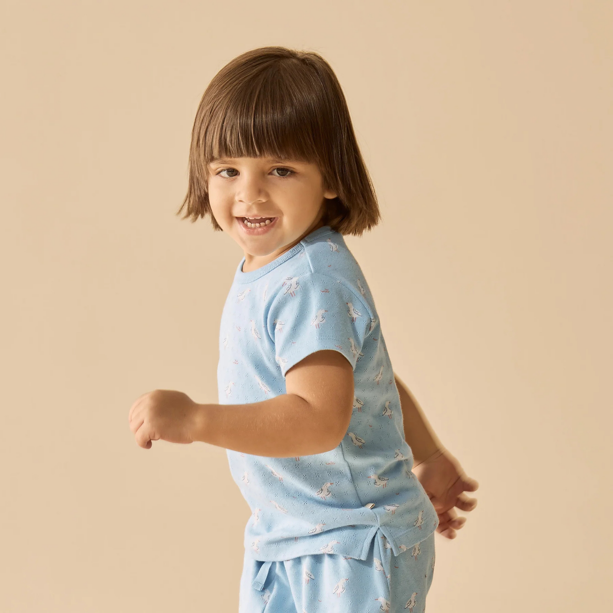 Wilson & Frenchy Sunny Seagulls Organic Pointelle Short Sleeved Pyjamas - Sunny Seagulls