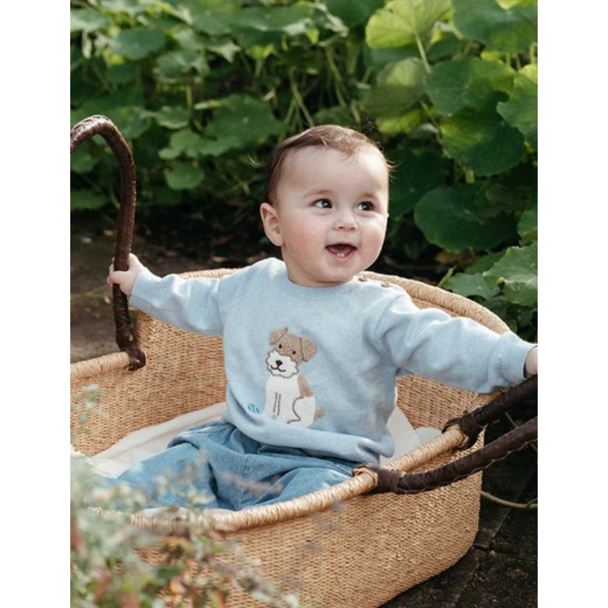Purebaby Chenille Embroidered Jumper - Sky Melange
