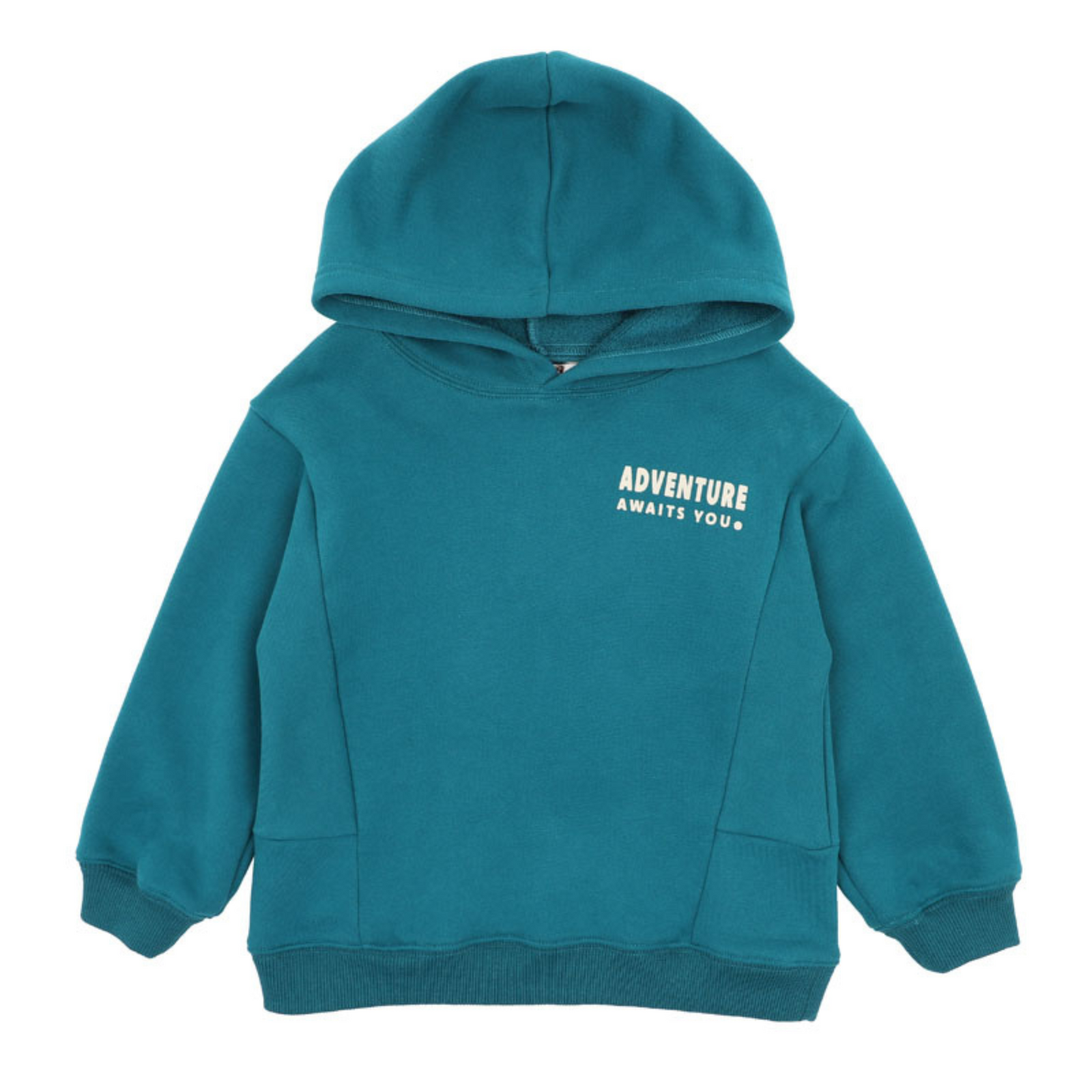 Fox & Finch Cool Dogs Adventure Hoodie - Teal Green