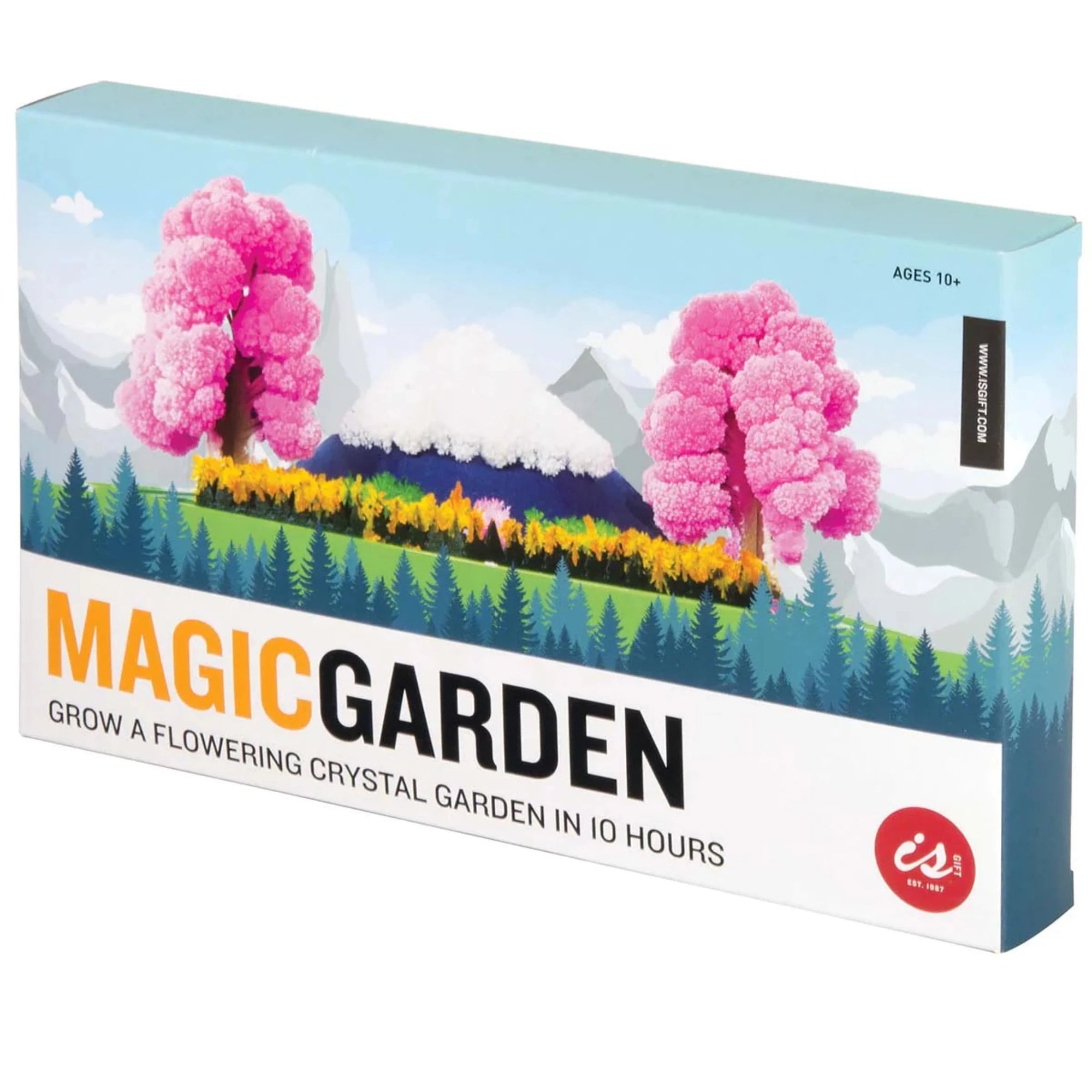 Discovery Zone Magic Garden