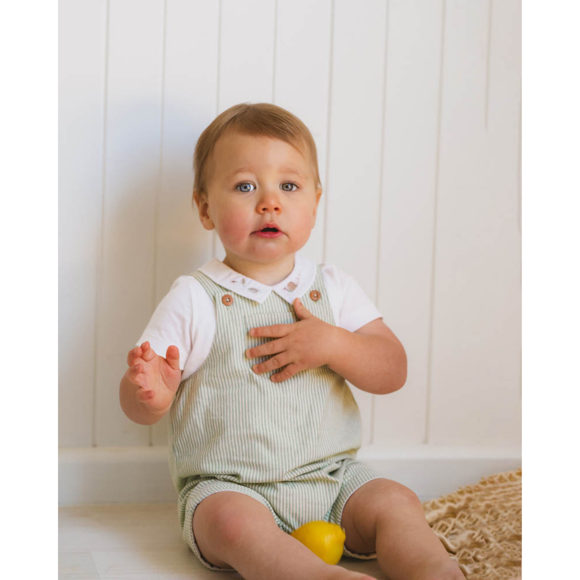 Bebe Roman Green Stripe Overalls - Green Stripe