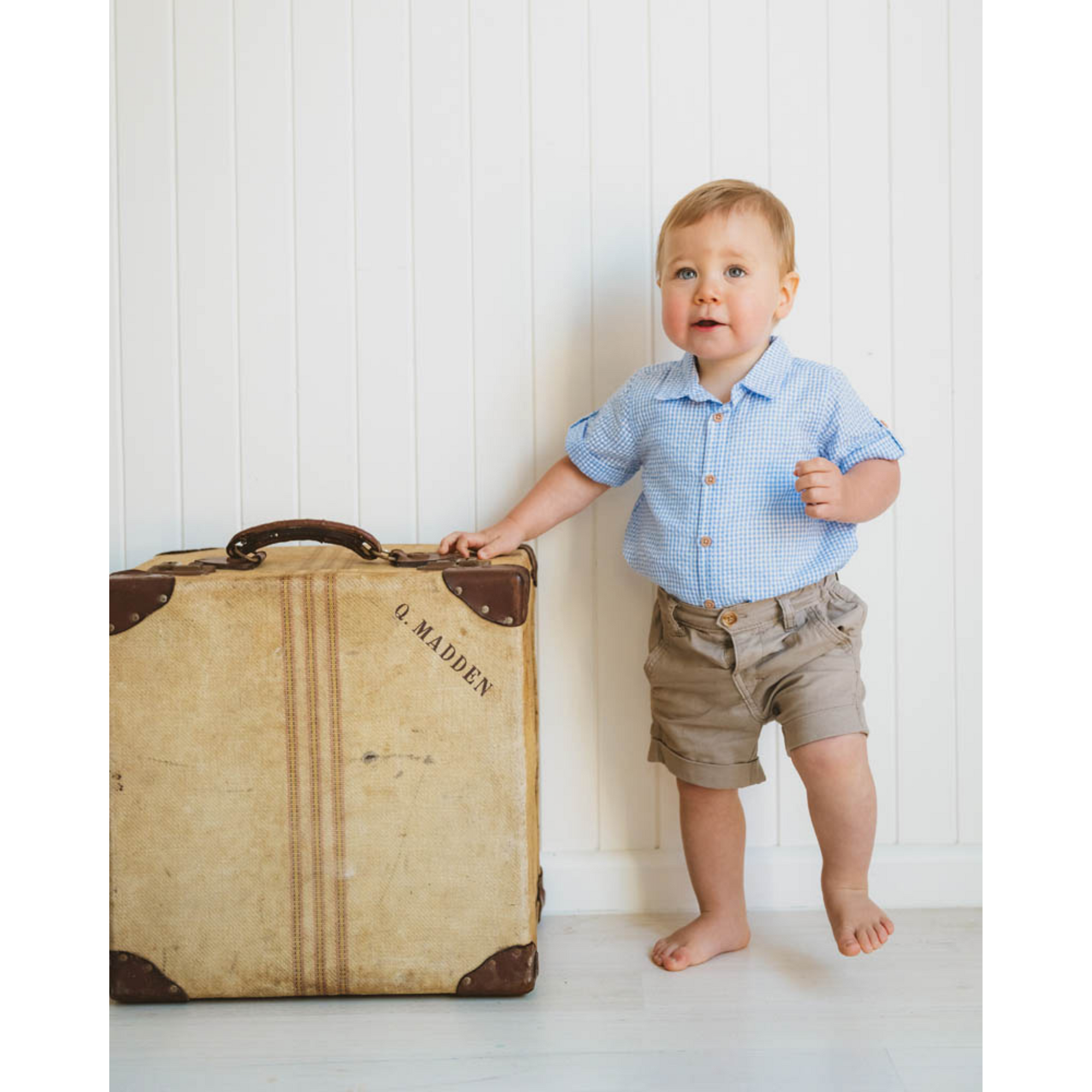 Bebe Roman Blue Check Ss Shirt - Blue Check