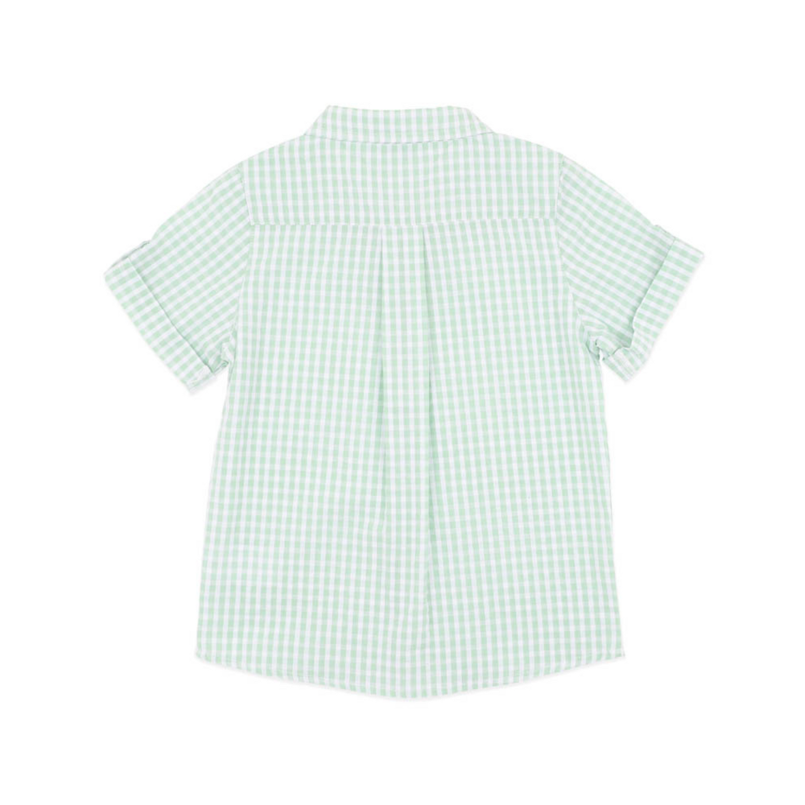 Bebe Roman Green Check Ss Shirt - Green Check