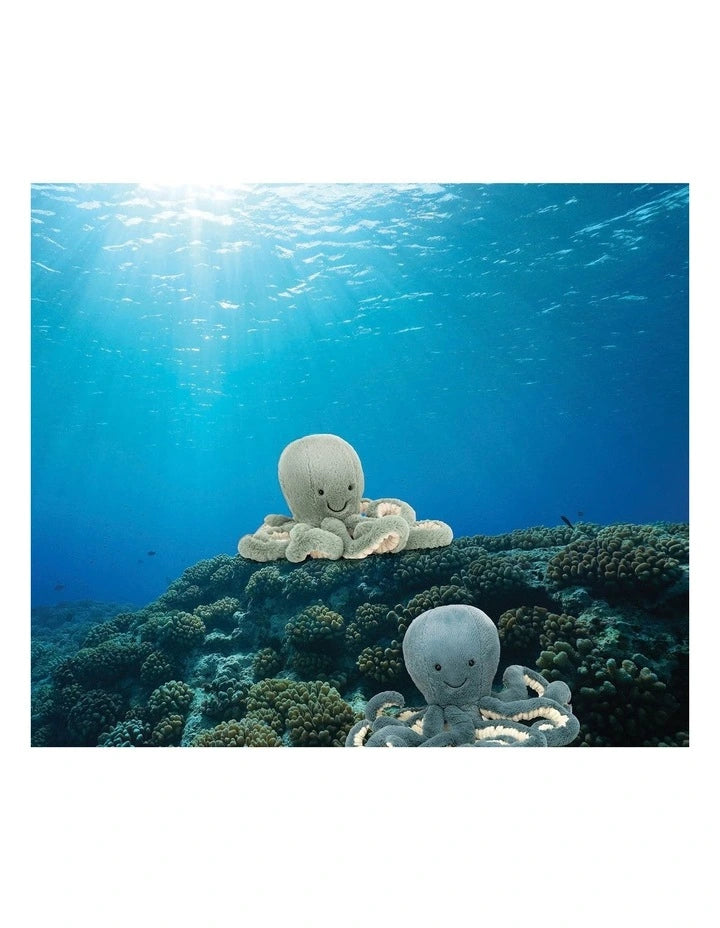 Jellycat Odyssey Octopus Baby