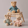 Bart the Bedtime Bear