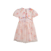 Alex &amp; Ant Aria Dress - Roses