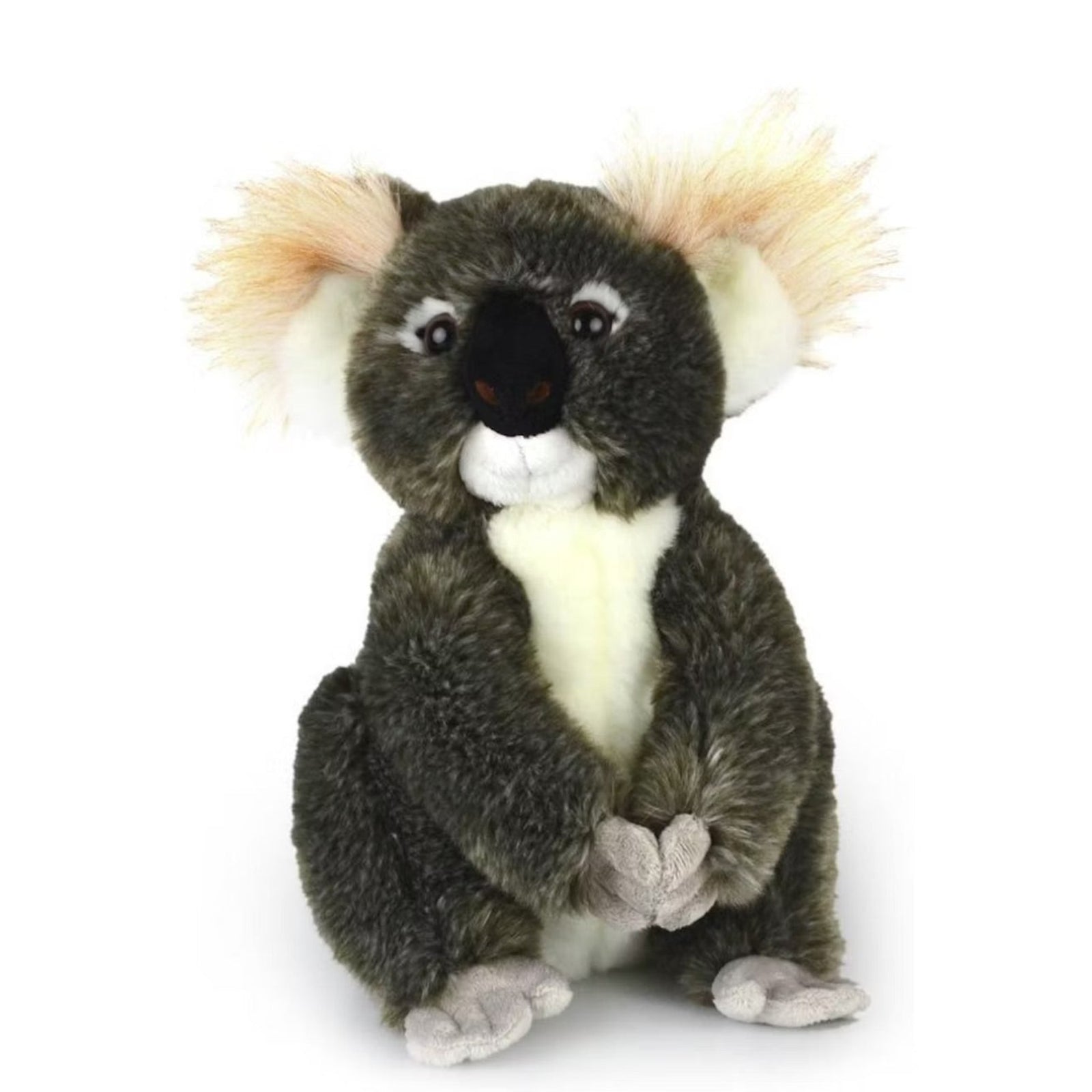 Korimco Koala Kimba 30cm