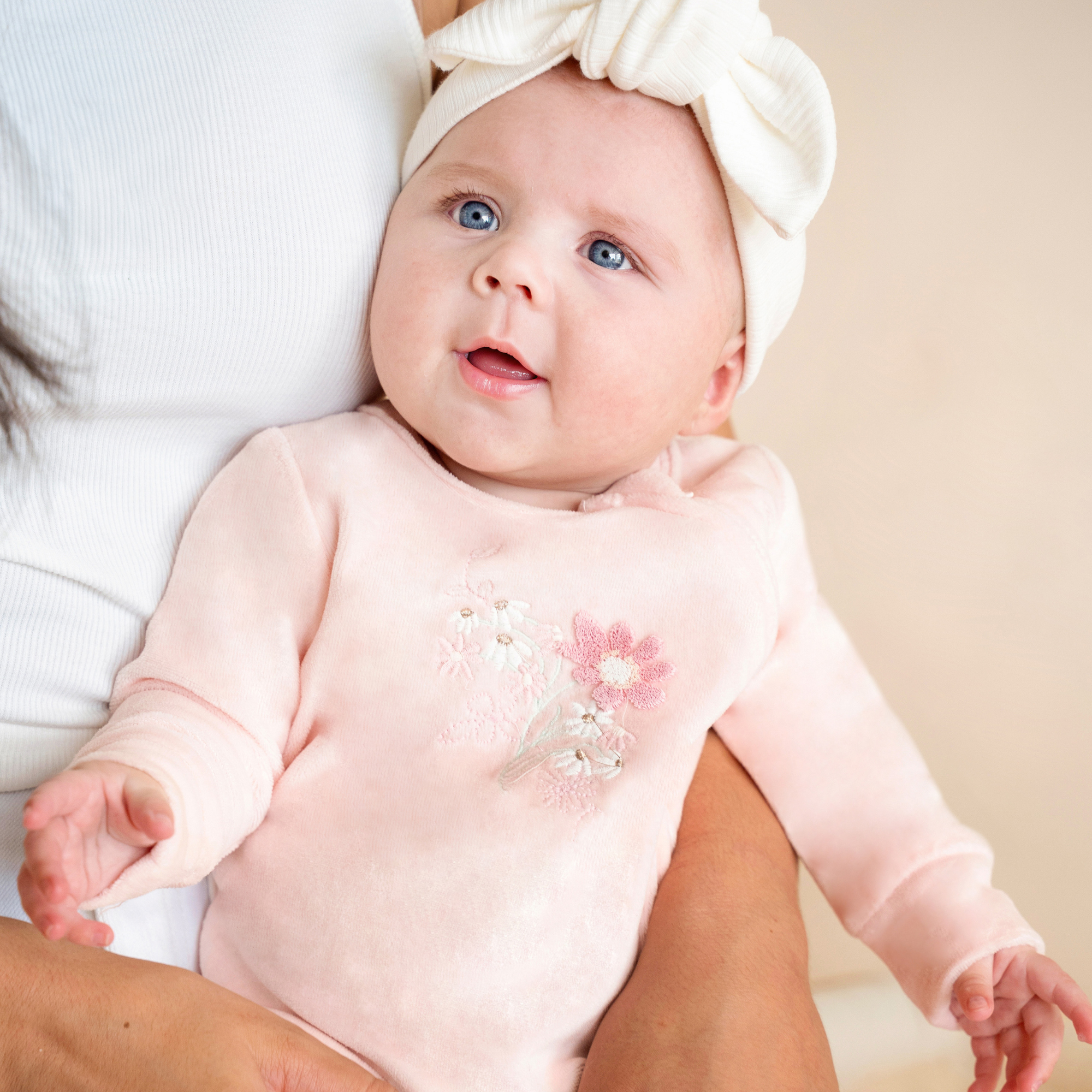 Bebe Fern Velour Embroidered Zip Onesie - Pale Pink