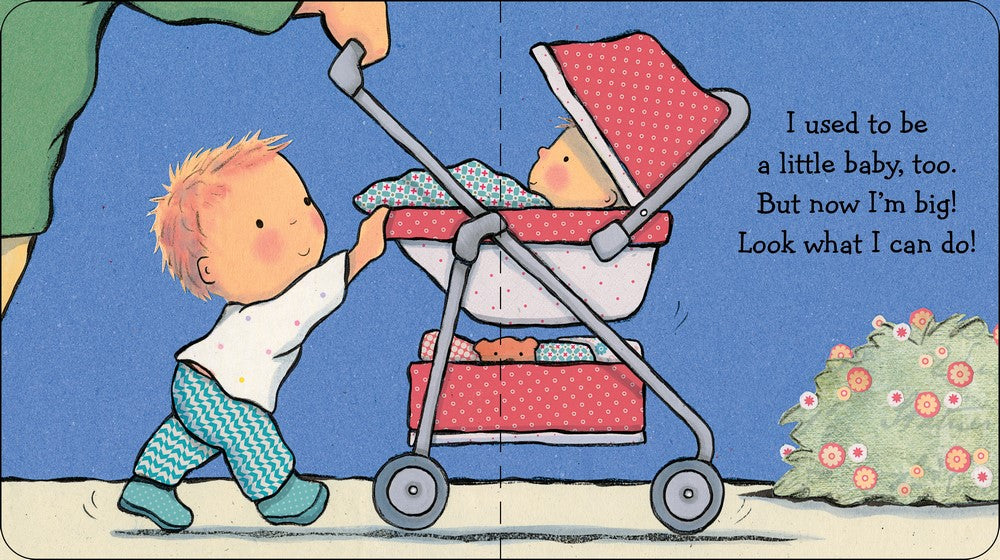 I'm a Big Brother Book