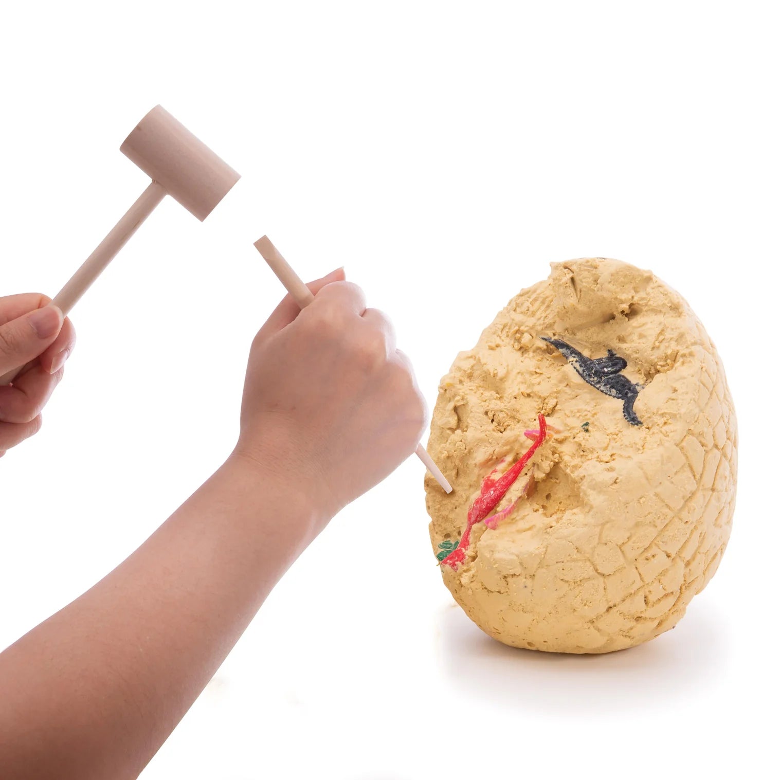 Discovery Zone Dino Dig Multi-Coloured