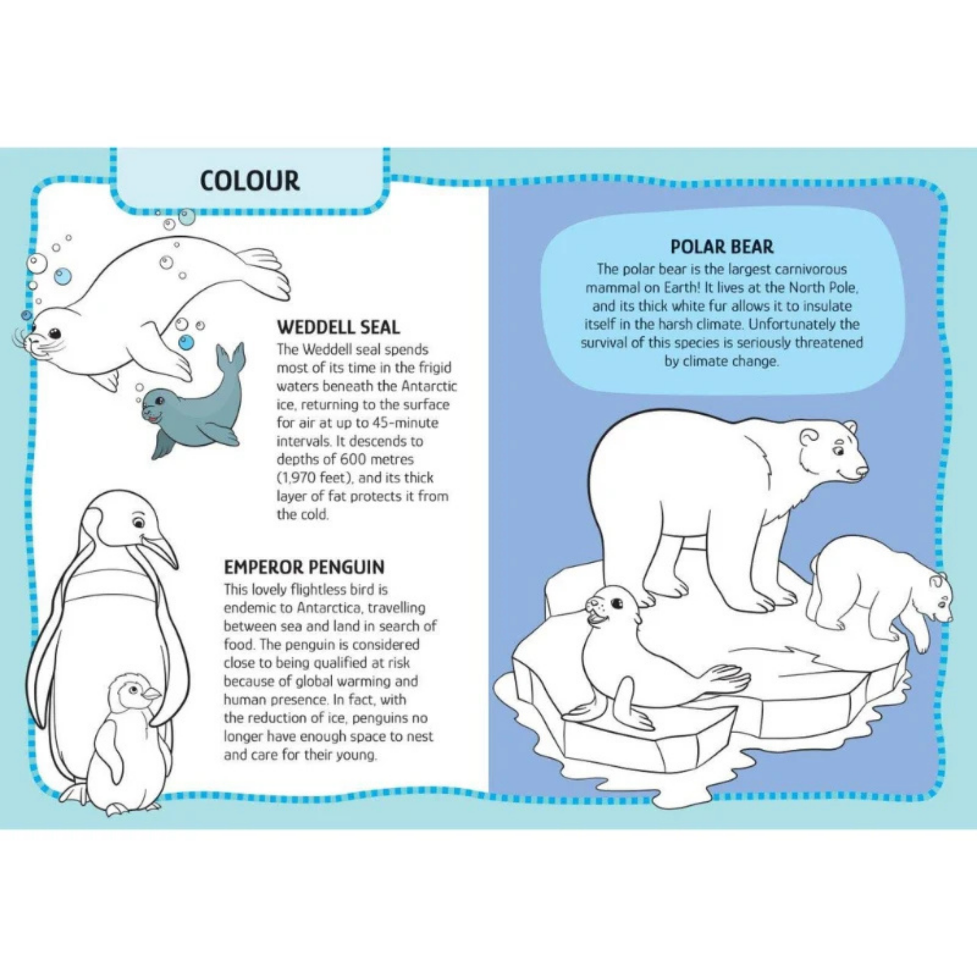 Sassi Arts &amp; Crafts - Animals