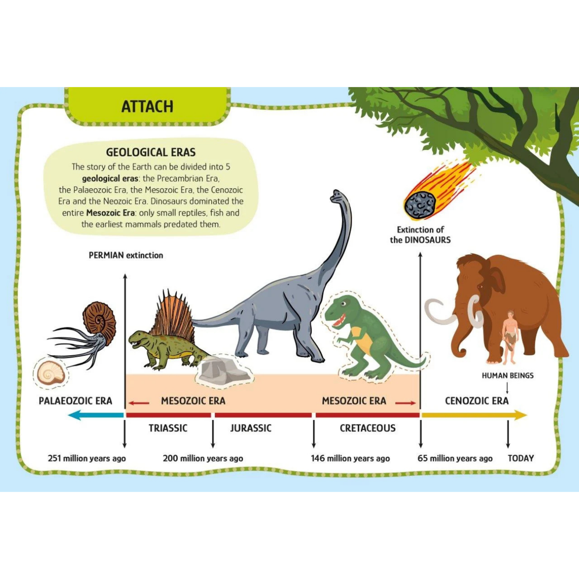 Sassi Arts &amp; Crafts - Dinosaurs