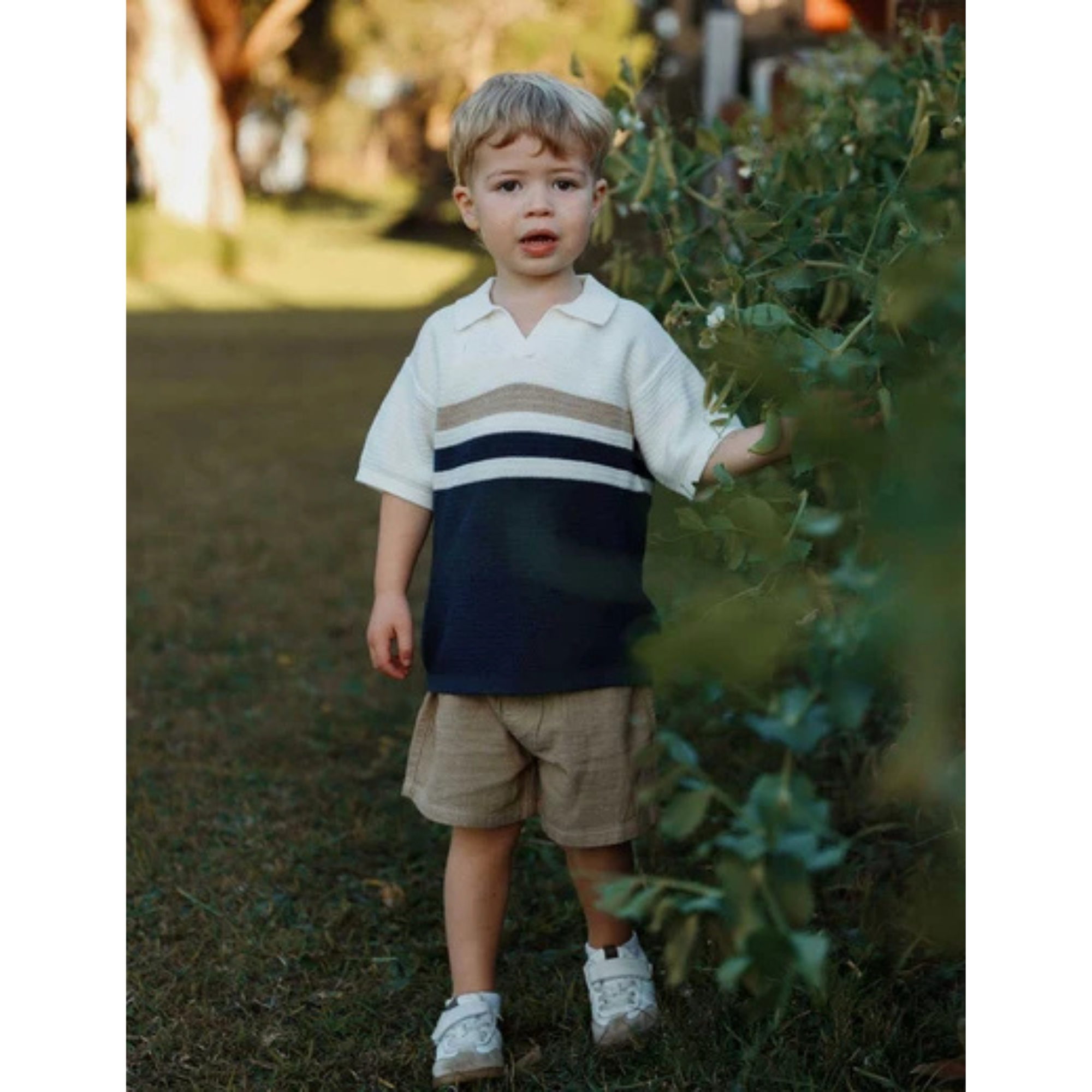 Purebaby Knitted Polo - Textured Stripe