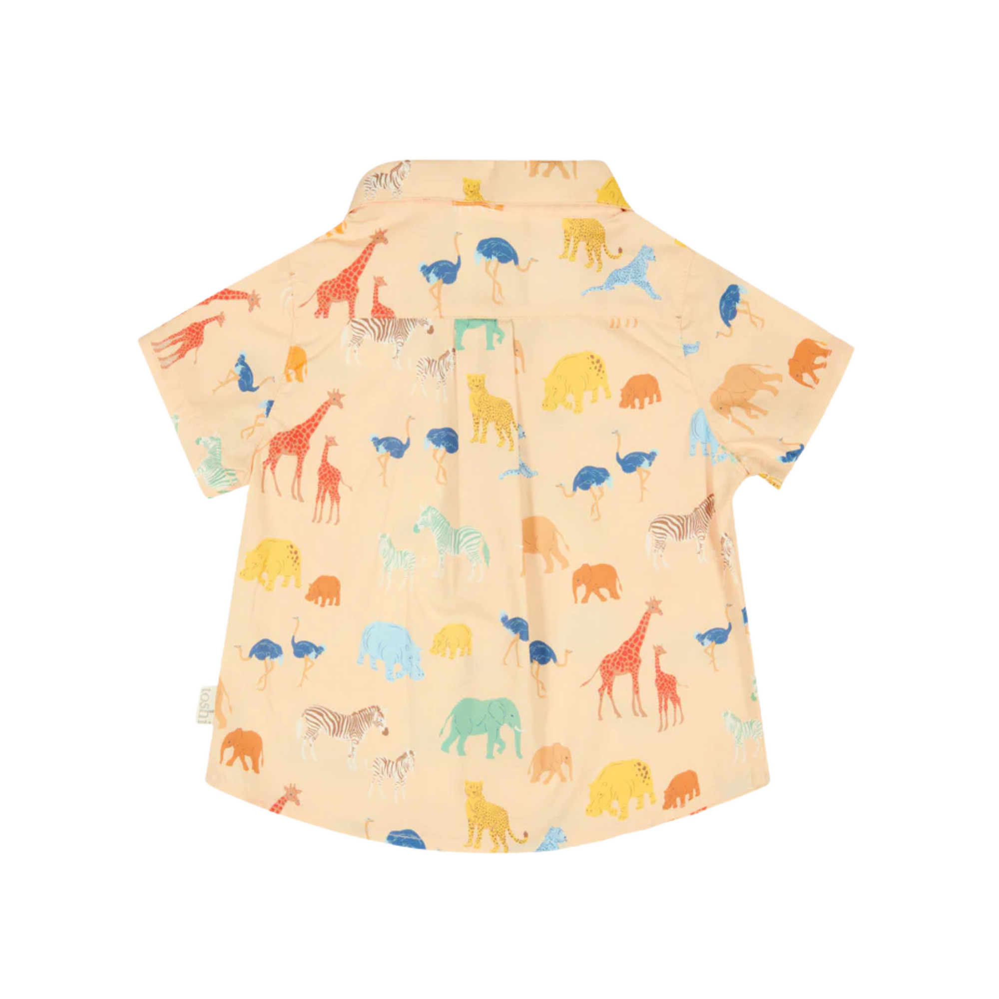 Toshi Shirt Banjo - Congo Driftwood