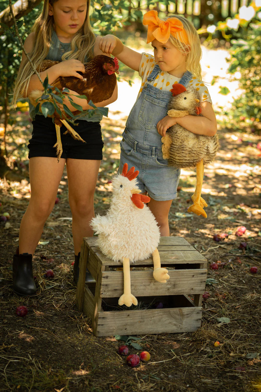 Nana Huchy Roy The Rooster