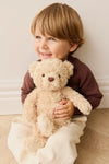 Snuggle Bunnies Arthur the Bear