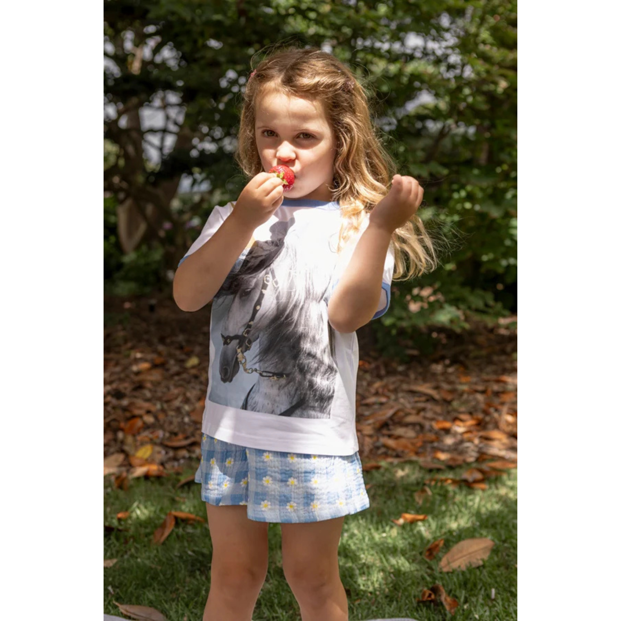 Milky Daisy Check Short