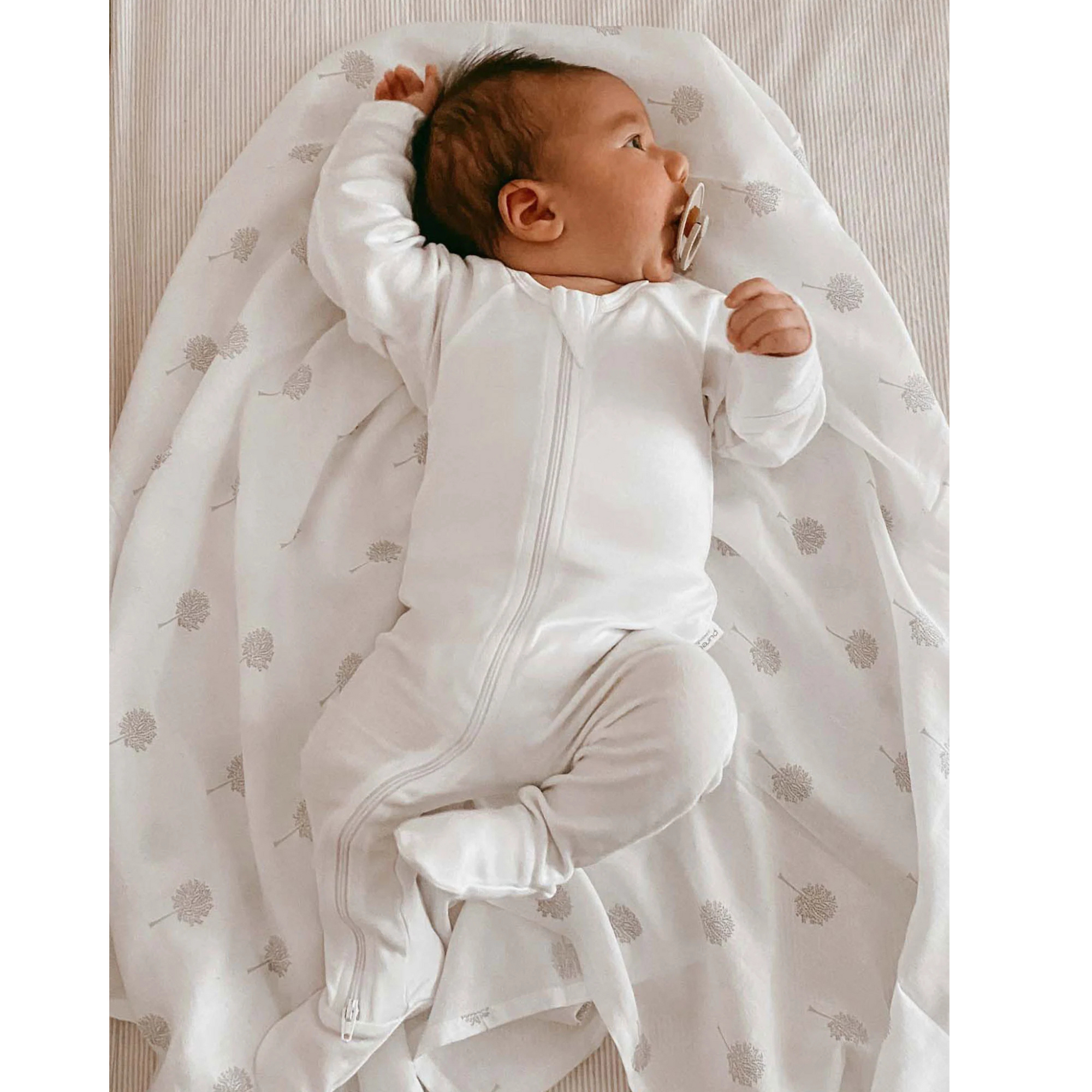 Purebaby Zip Growsuit - Vanilla  Bear