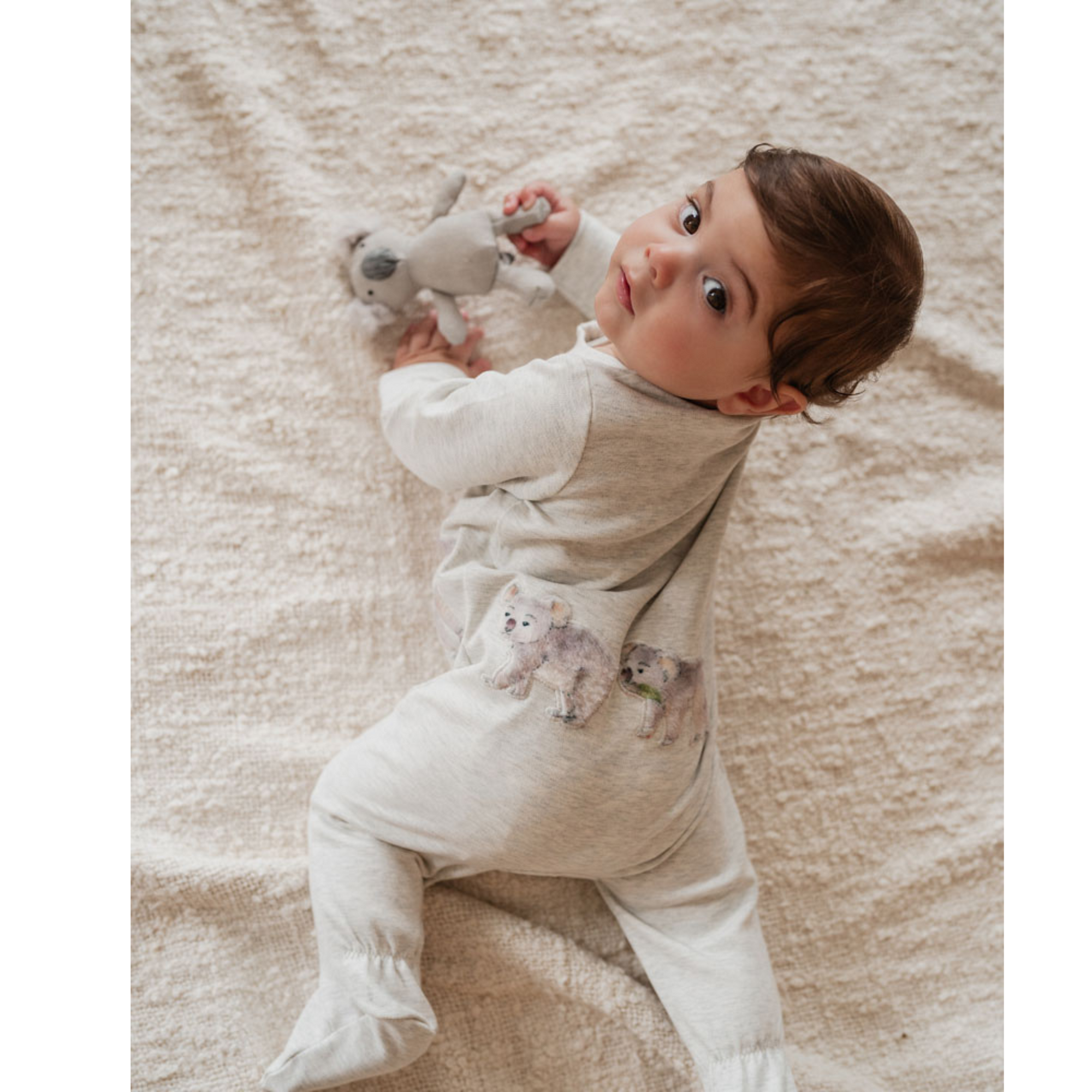 Bebe Bailey Koala Ls Zip Onesie