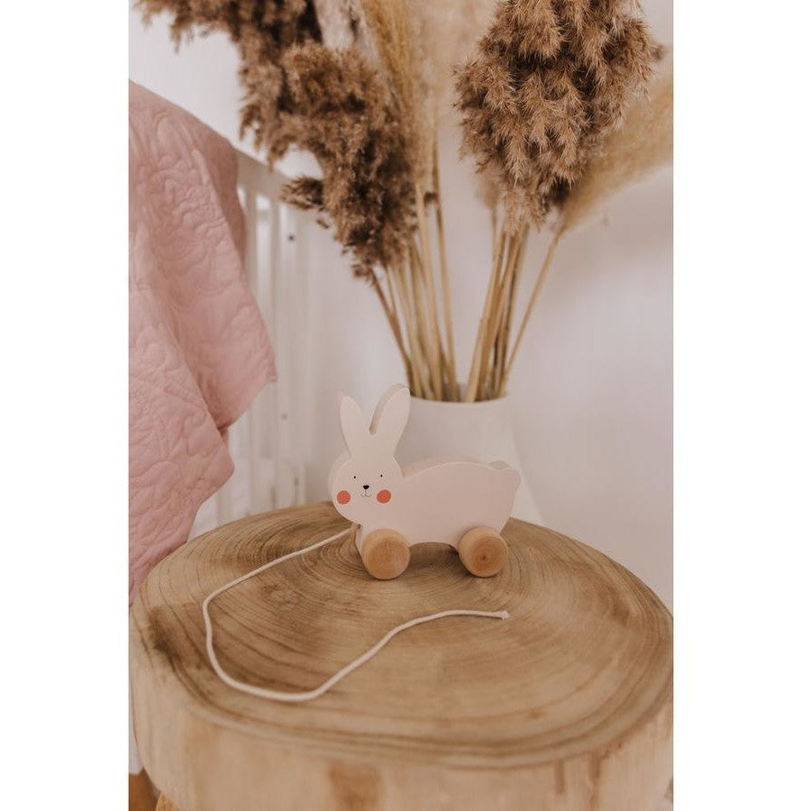 Skip Hop Bubble Wooden Rabbit Pull Along Toy